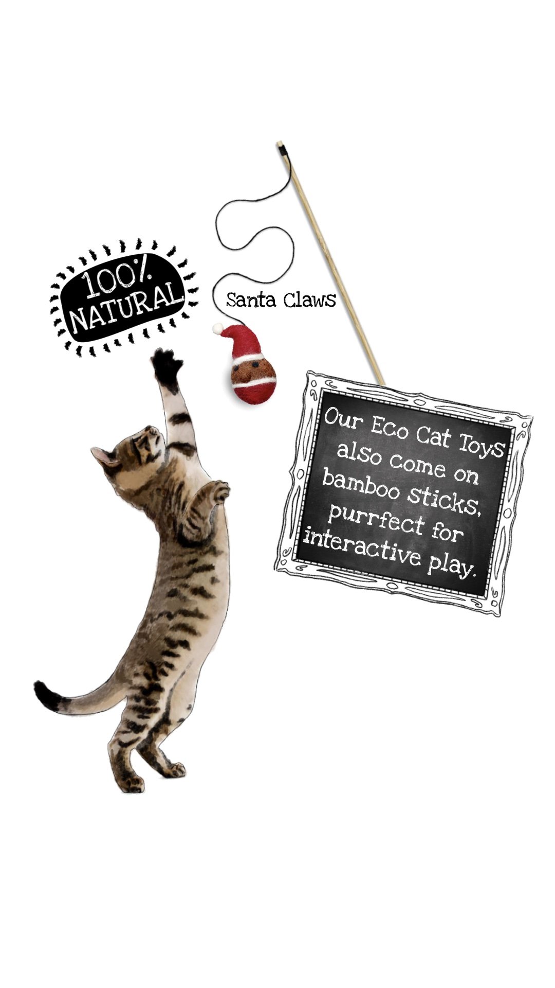 Cat Eco Toy Launch