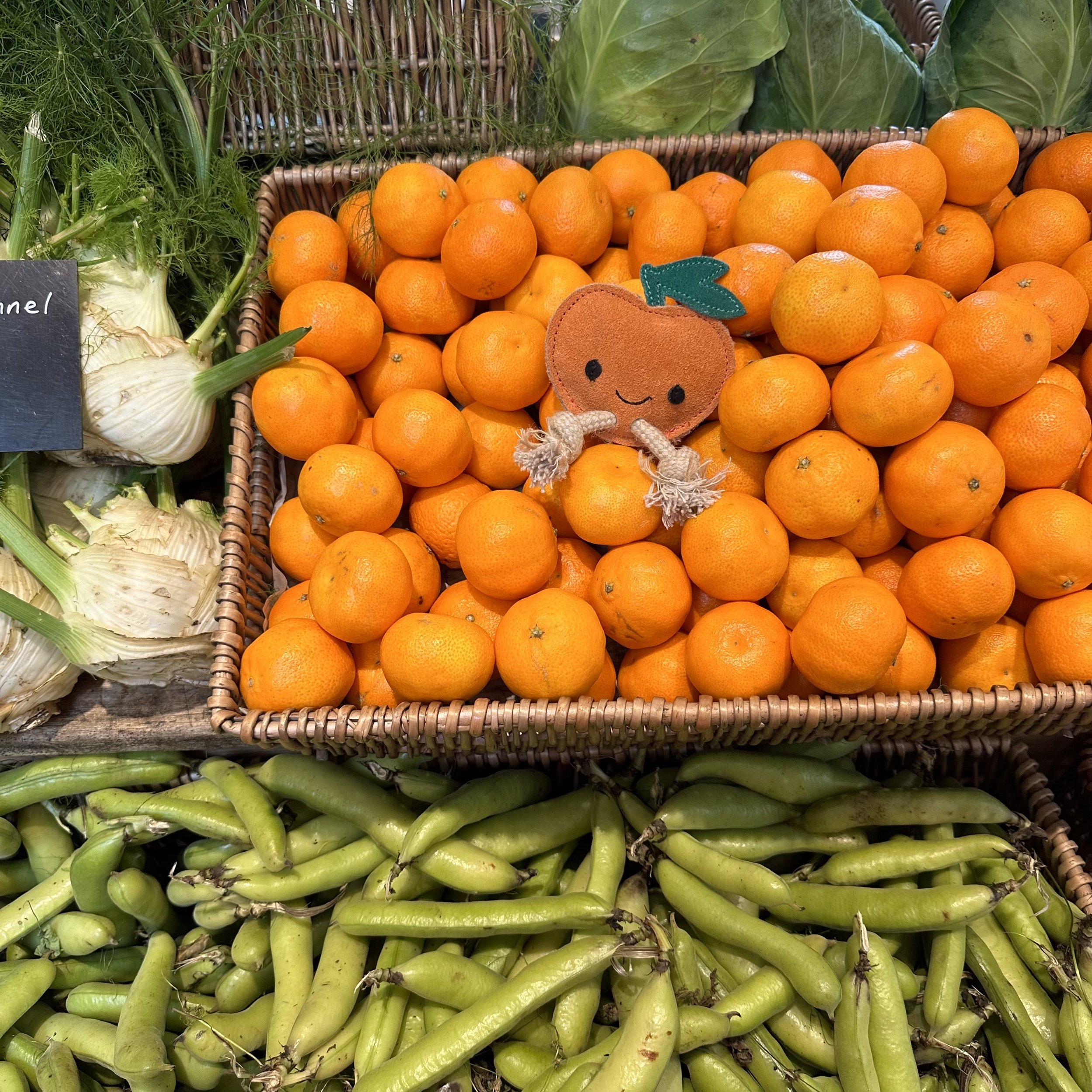Sancho the Satsuma