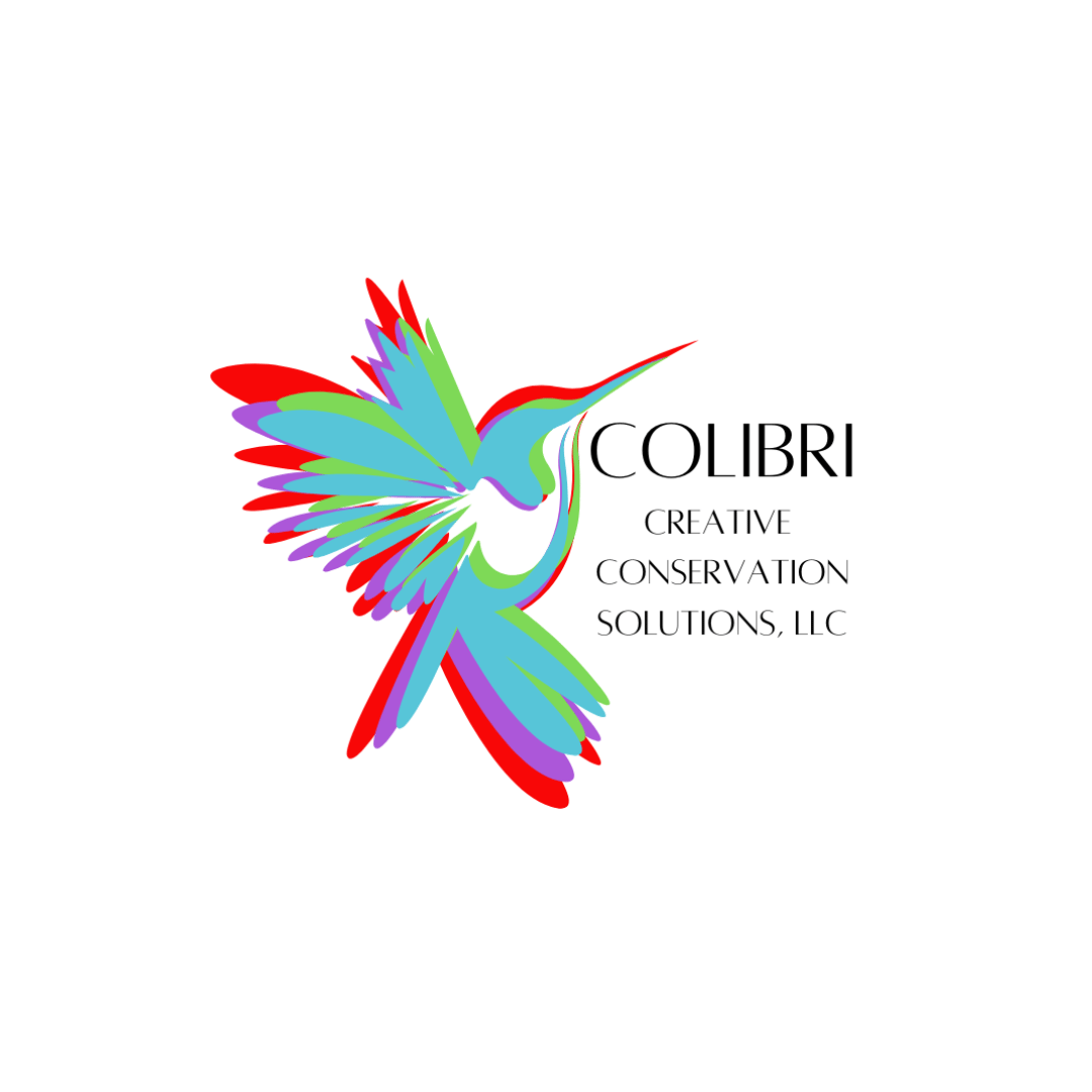 Colibri-2.png