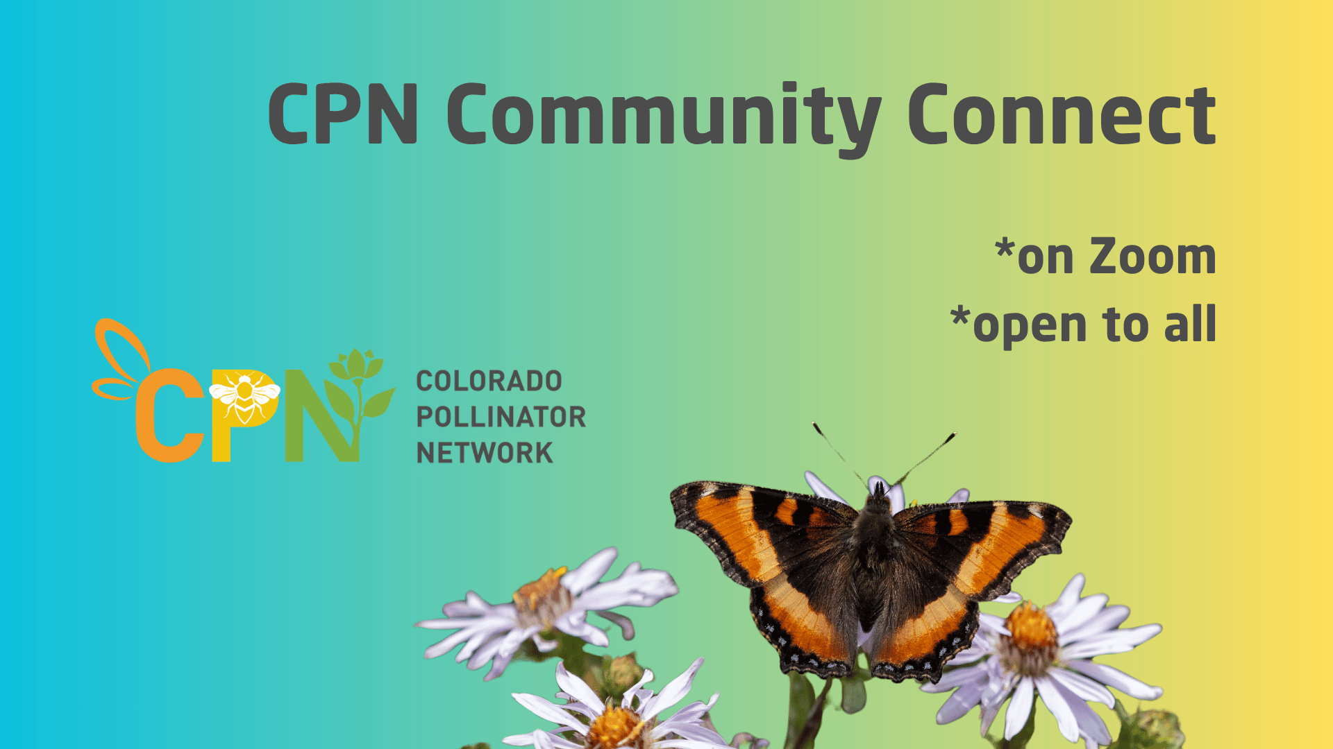 CPN Community Zoom - Open To All — Aug 2026