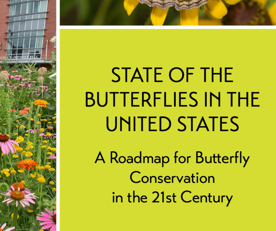 Xerces State of Butterflies Report