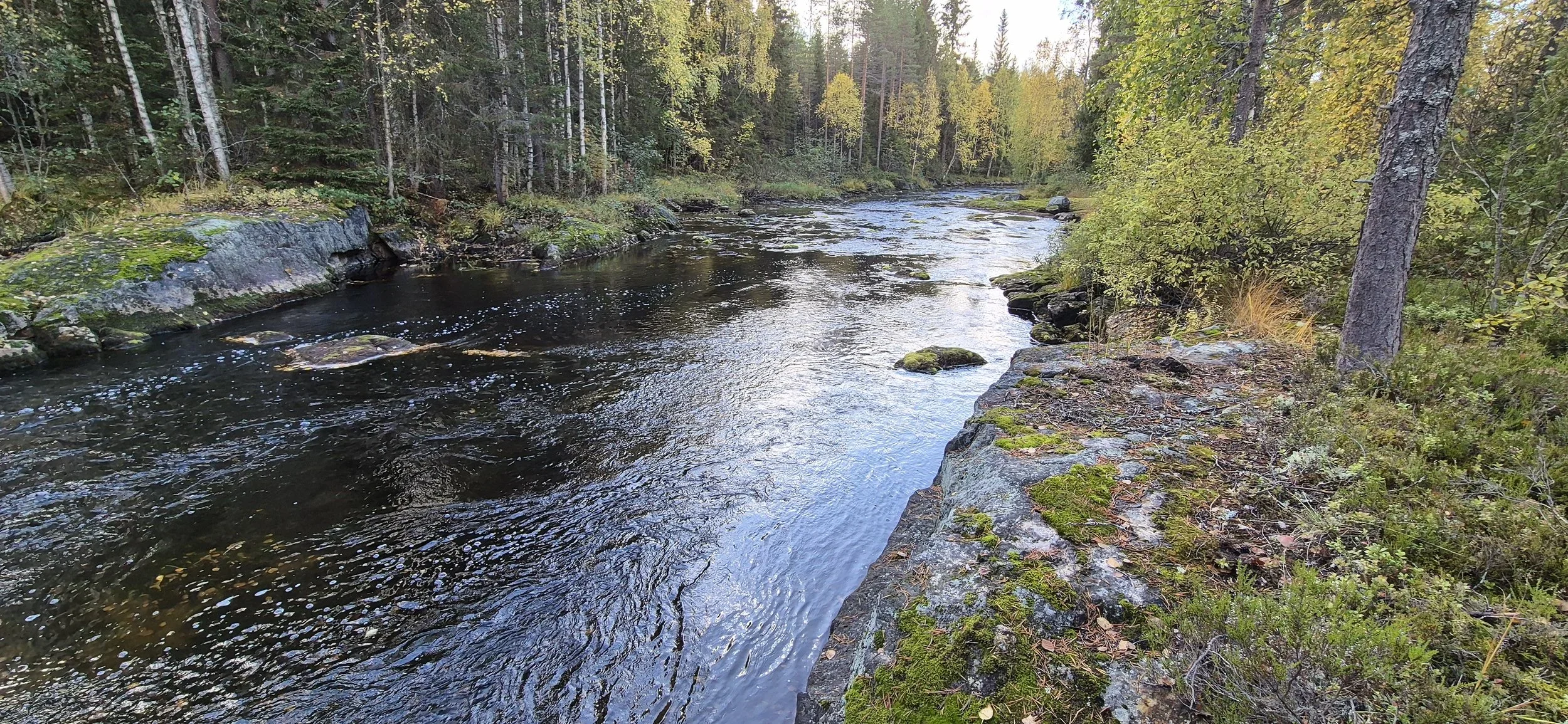 Saramojokityöpajan esitykset 24.9.2025