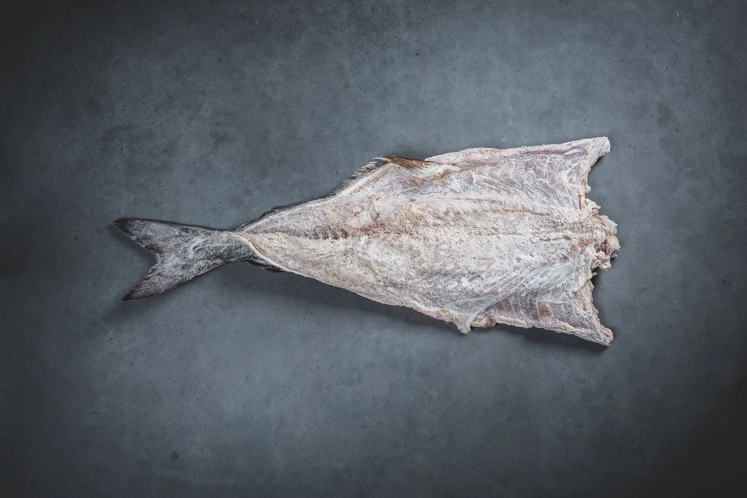 Saith Fish Fjordlaks