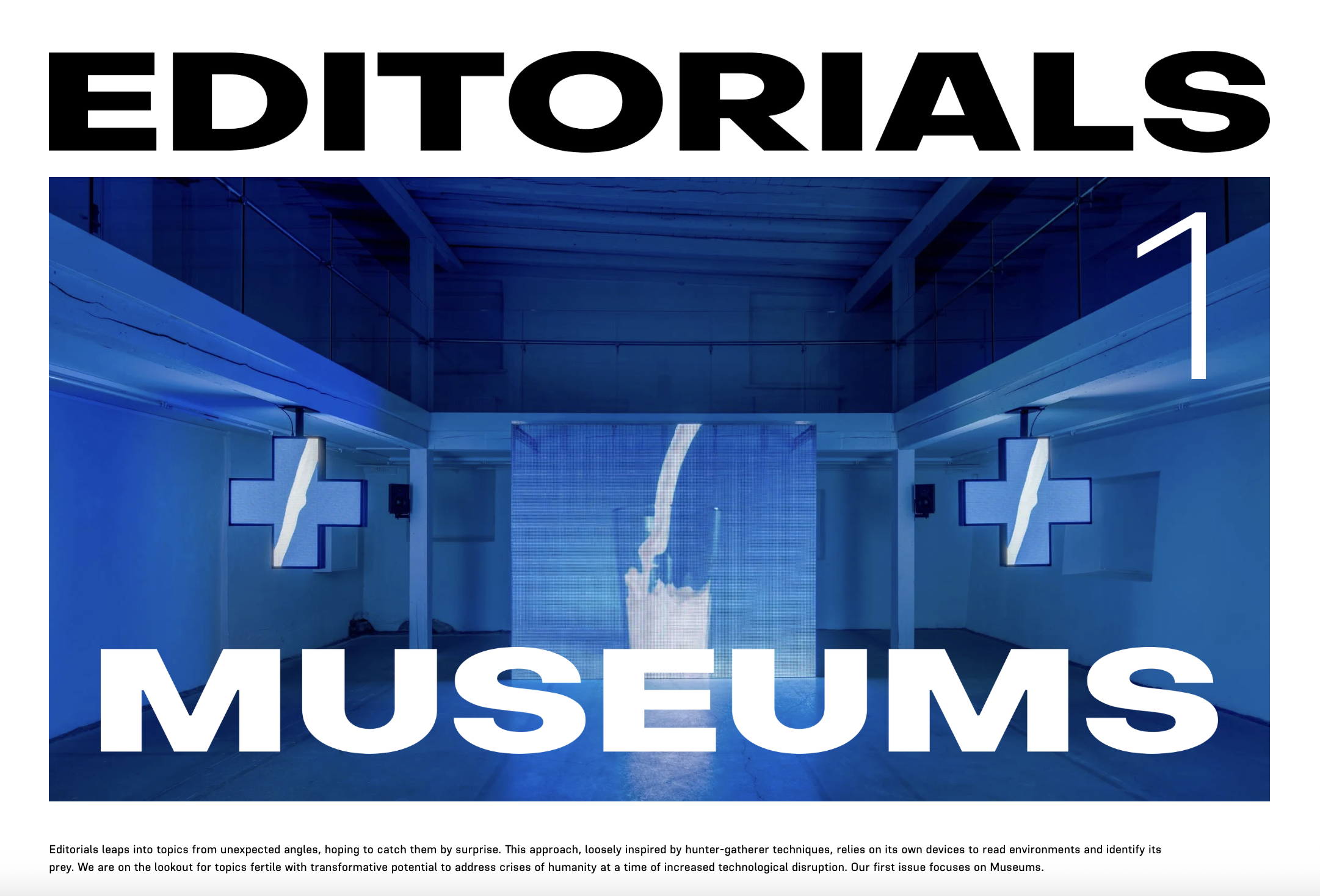 meta foundation: editor-at-large for a new editorial platform