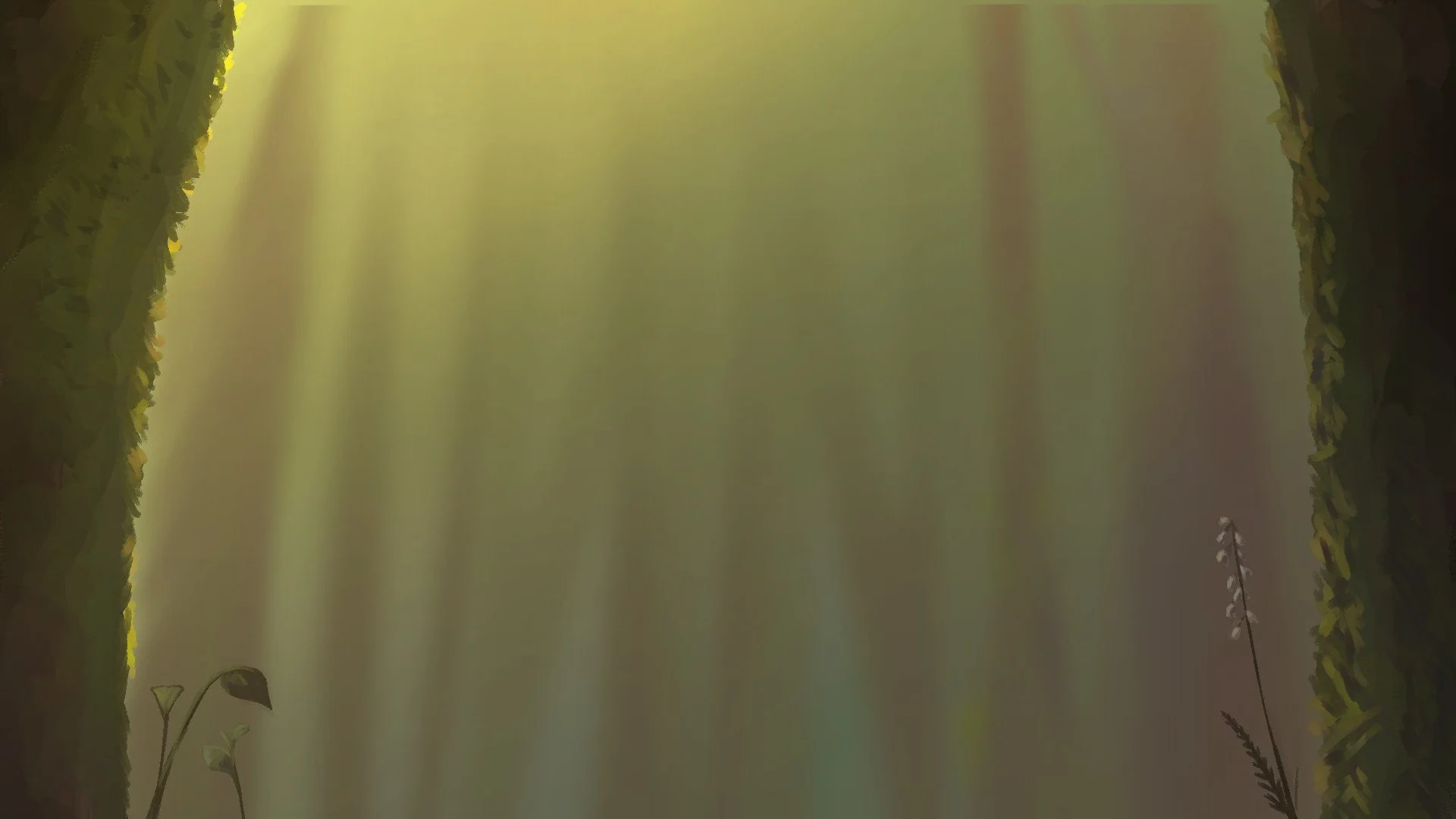 Forest - Low Angle