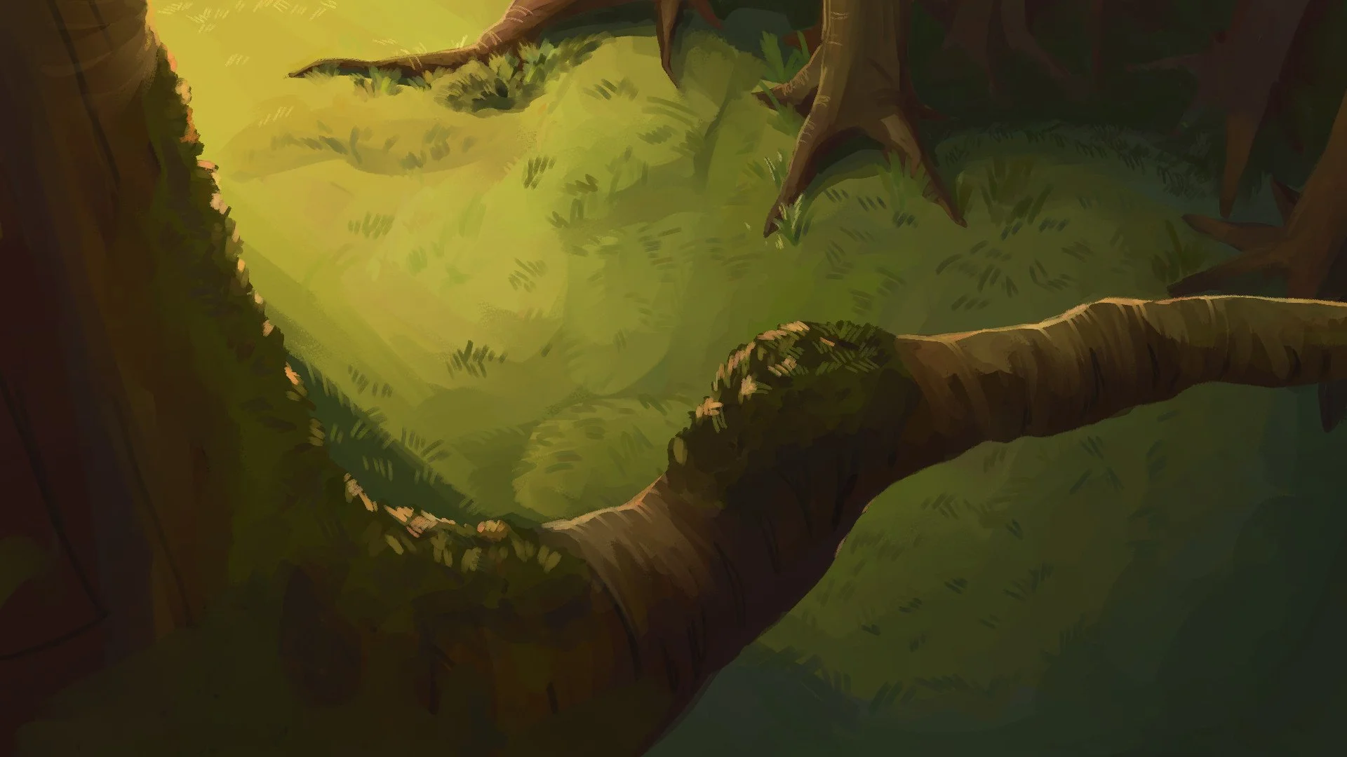 Forest - High Angle