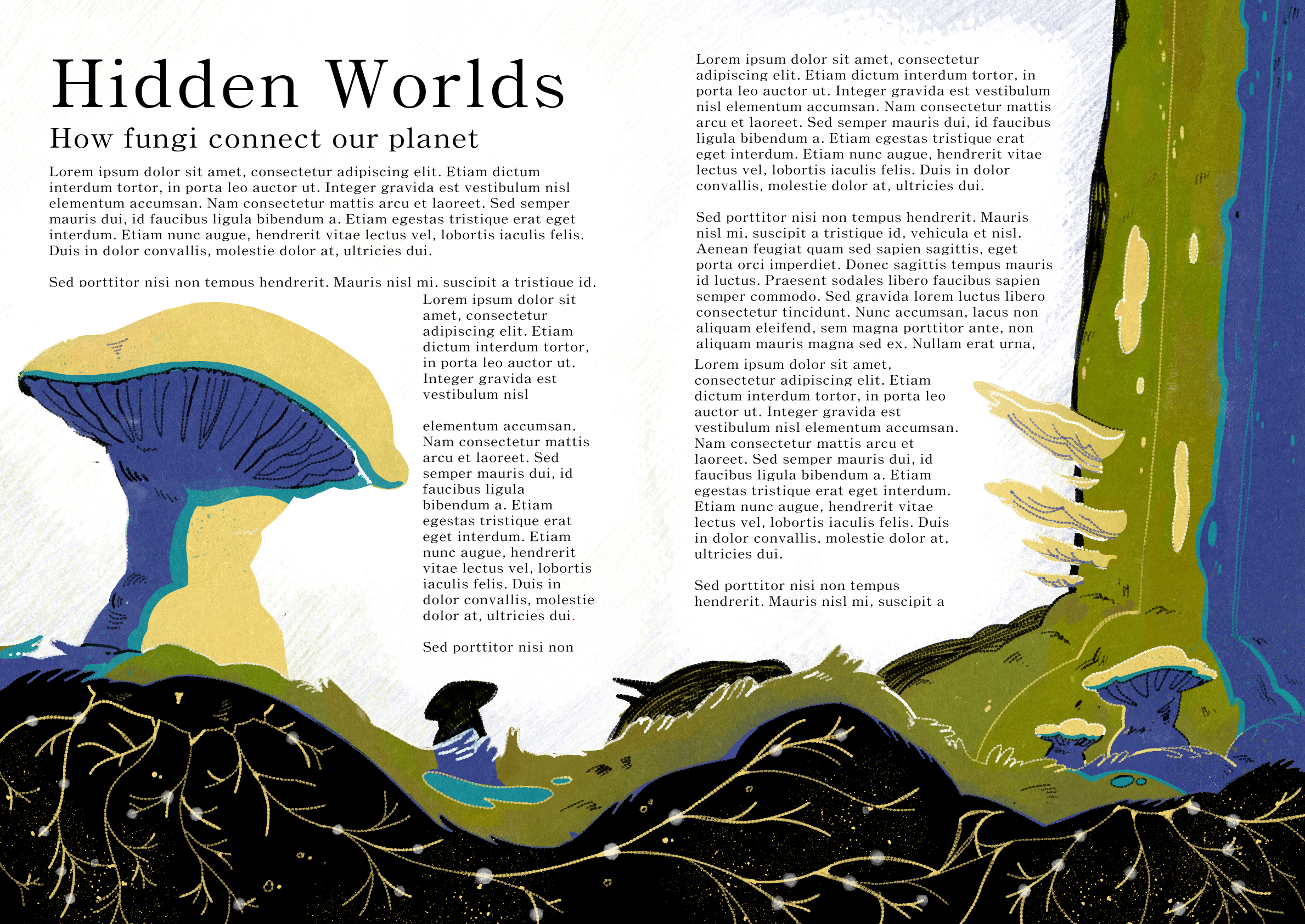 Hidden Worlds Editorial
 

  For personal development  