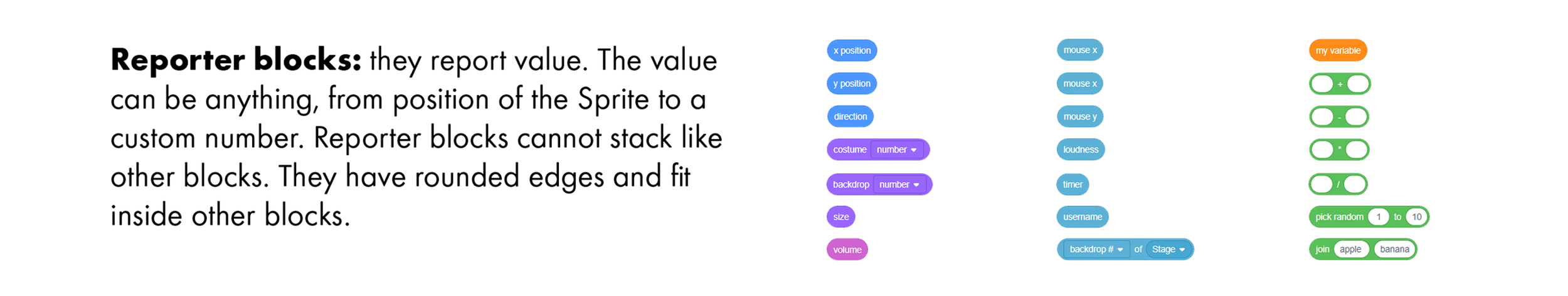Code blocks_Reporter blocks.png
