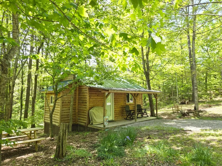 DBNF | Escape to the Woods | Wild & Scenic Daniel Boone National Forest ...