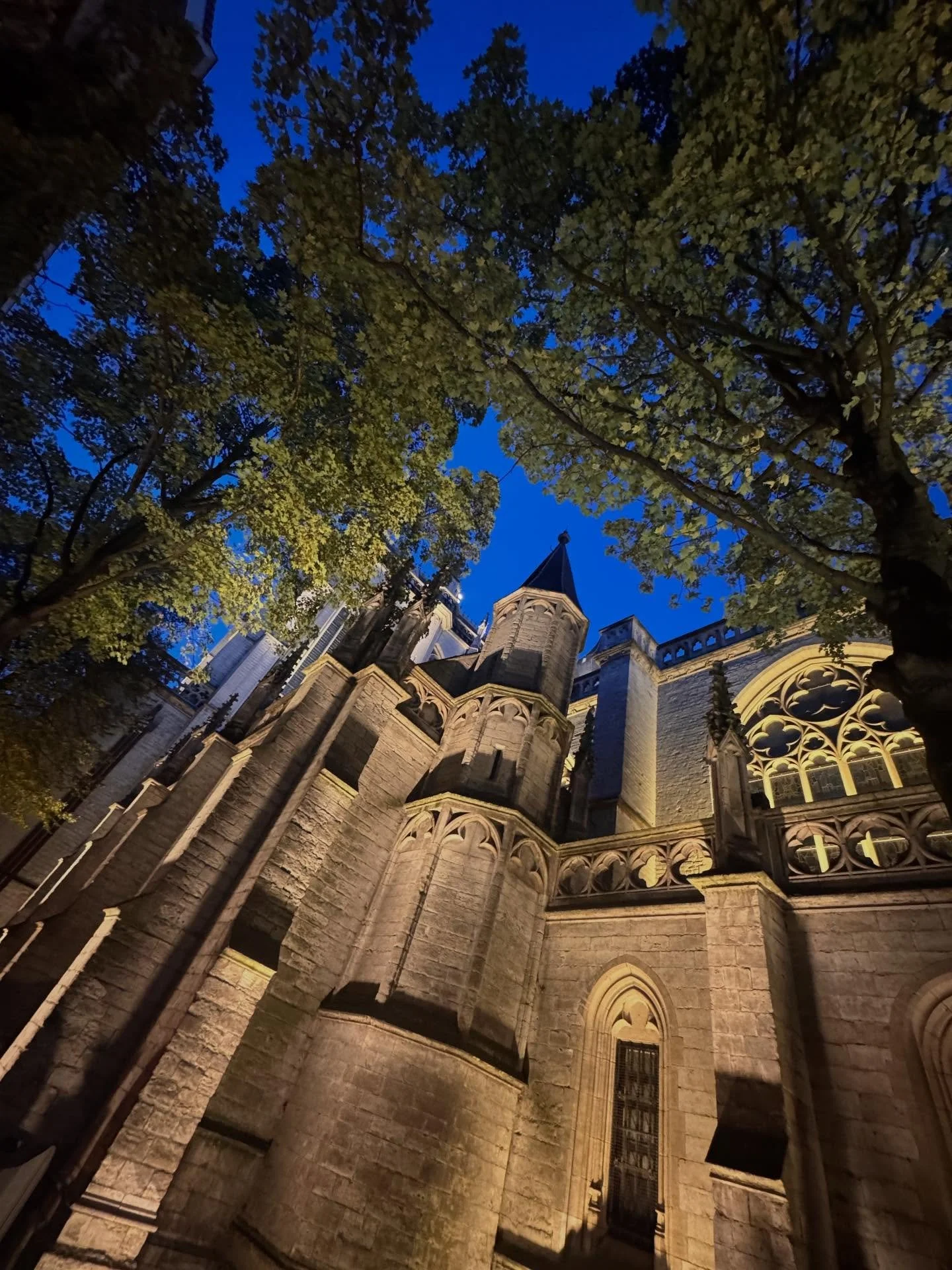 Our residences are in the shadow of the stunning Cathedral of our Lady ⁣
.⁣
.⁣
.⁣
.⁣
.⁣
#antwerp #antwerpcity #antwerpdesign #antwerpen #antwerpencity #antwerpen🇧🇪 #antwerpfoodguide #antwerpfoodie #antwerphotspot #anvers #architecturephotography #b