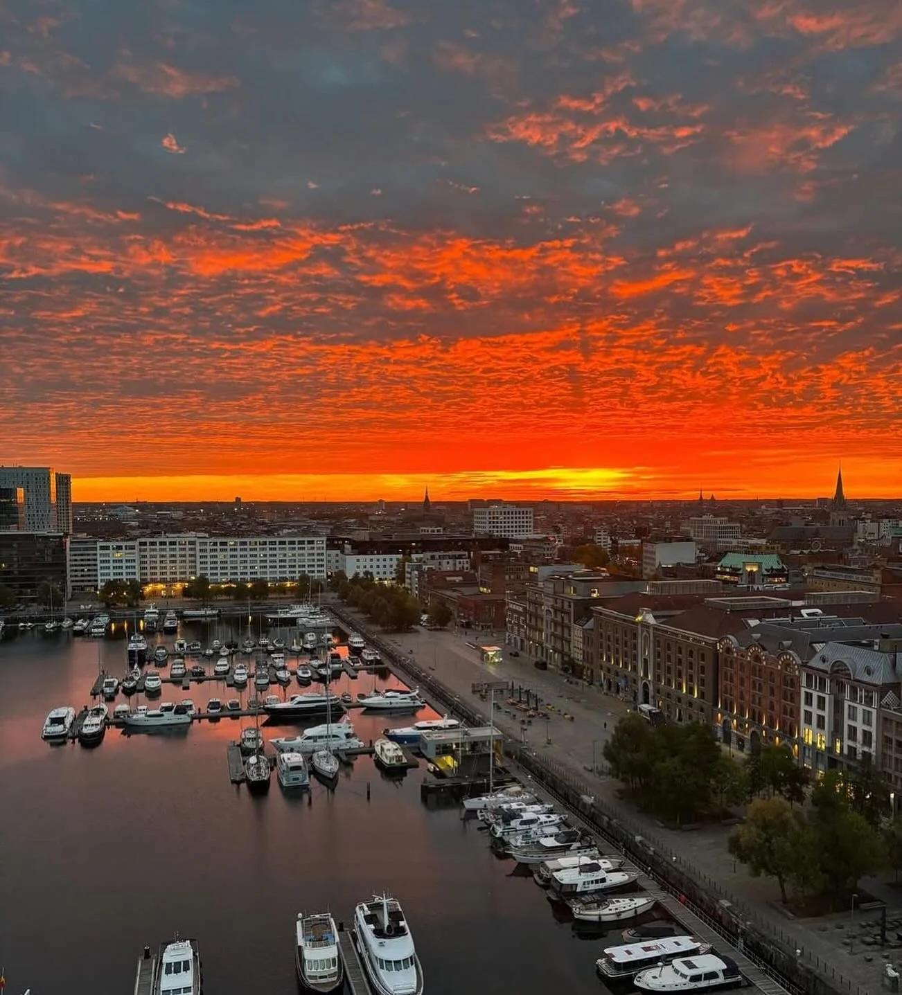 Recommendation | Enjoy the view over the city @masantwerpen a 17 min stroll from our Lijnwaadmarkt residences ⁣
.⁣
.⁣
.⁣
.⁣
.⁣
#antwerp #antwerpen #antwerpencity #antwerpen🇧🇪 #antwerptoday #anvers #anversa #belgie #belgique #belgium #belgium🇧🇪 #b