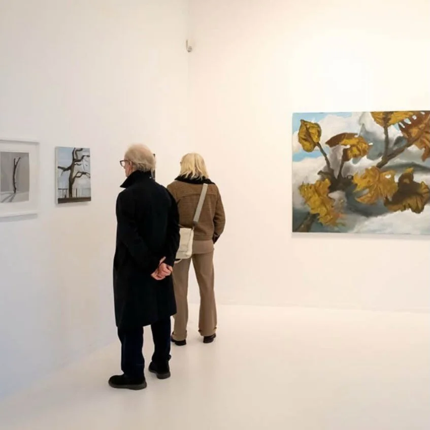 Recommendation | Explore the art of @gallerysofievandevelde a 15min drive from our Lijnwaadmarkt residences