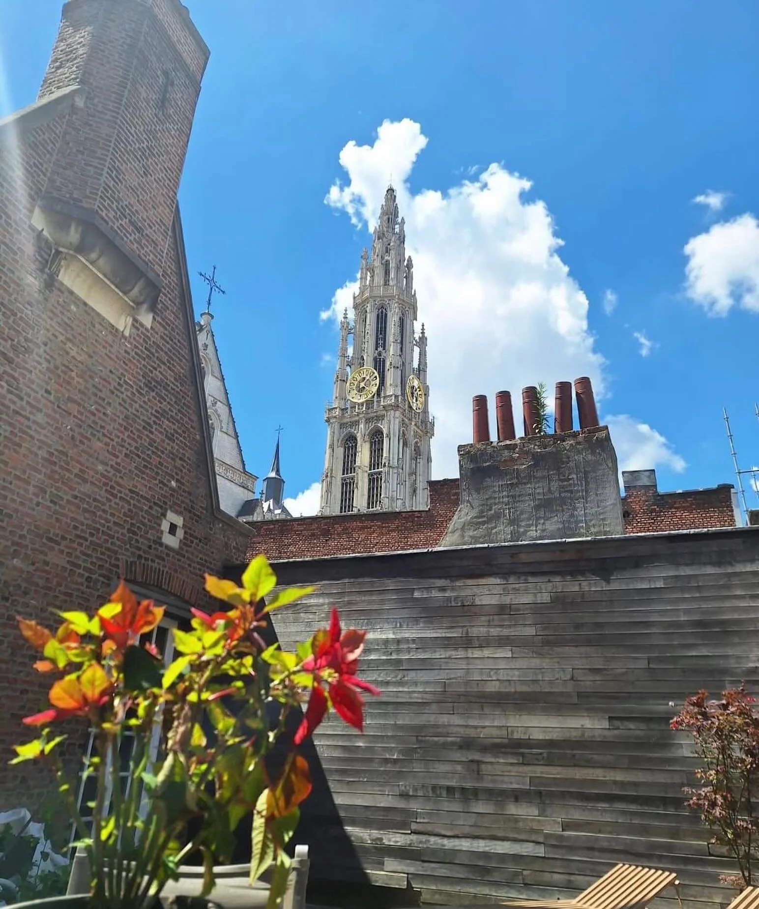 Summer days on the terrace at LINEN | Book your stay now! ⁣
.⁣
.⁣
.⁣
.⁣
.⁣
#amberes #antwerp #antwerpcity #antwerpen #antwerpencentraal