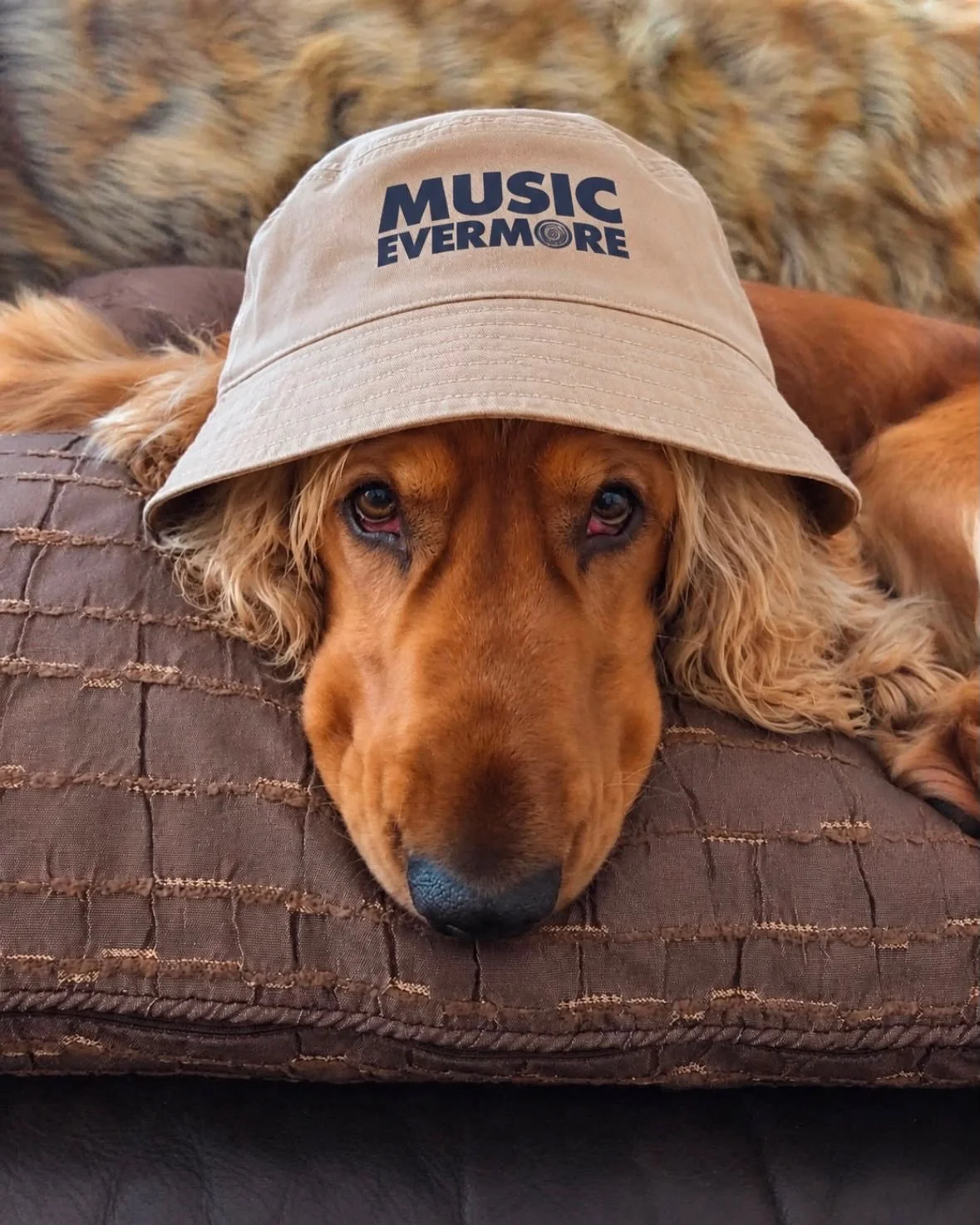 Who grabbed a bucket hat whilst we were in Wythy Park for @livefromwythenshawepark @thecure and @lewiscapaldi?! We have some left available to buy direct from our website now! Every penny goes towards helping us change lives with the power of music. 