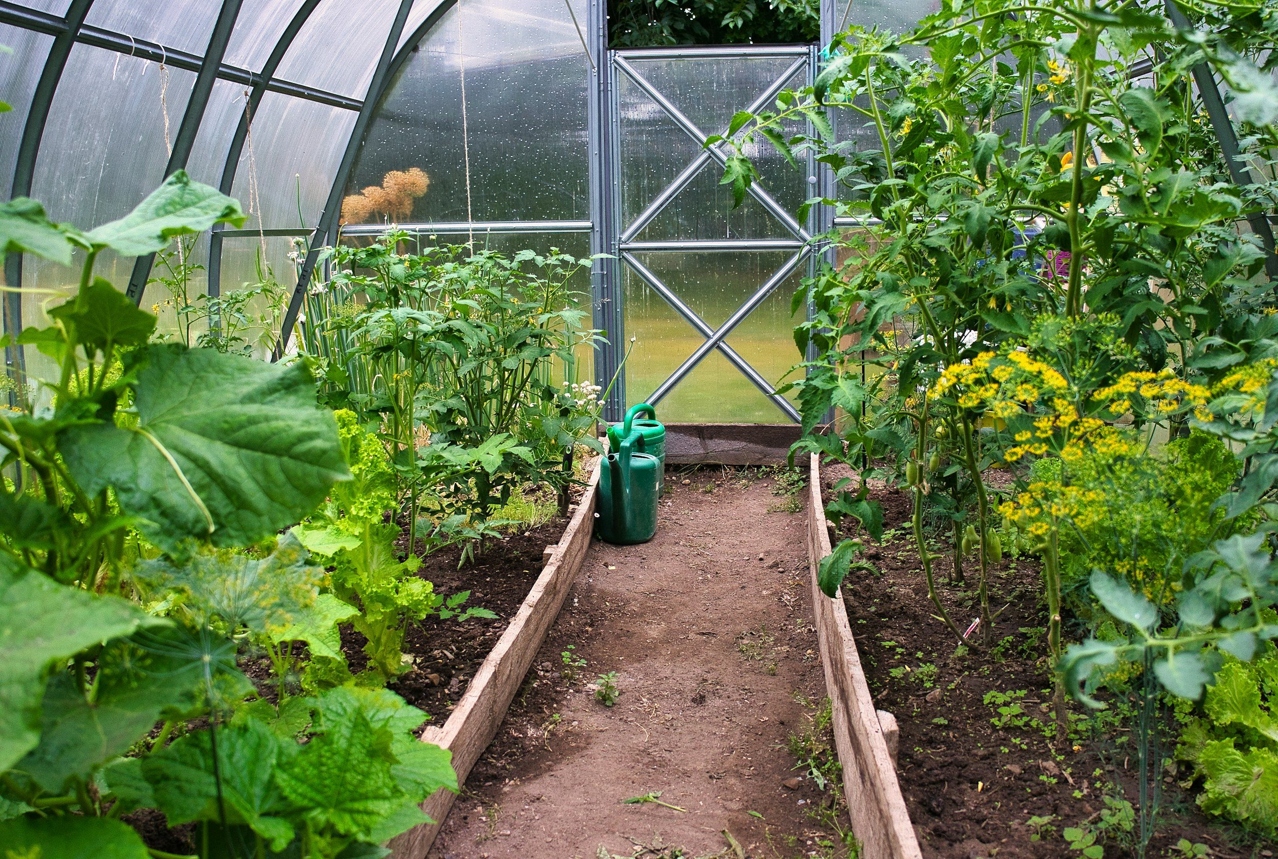 The Secret to Your Best Garden Year Yet