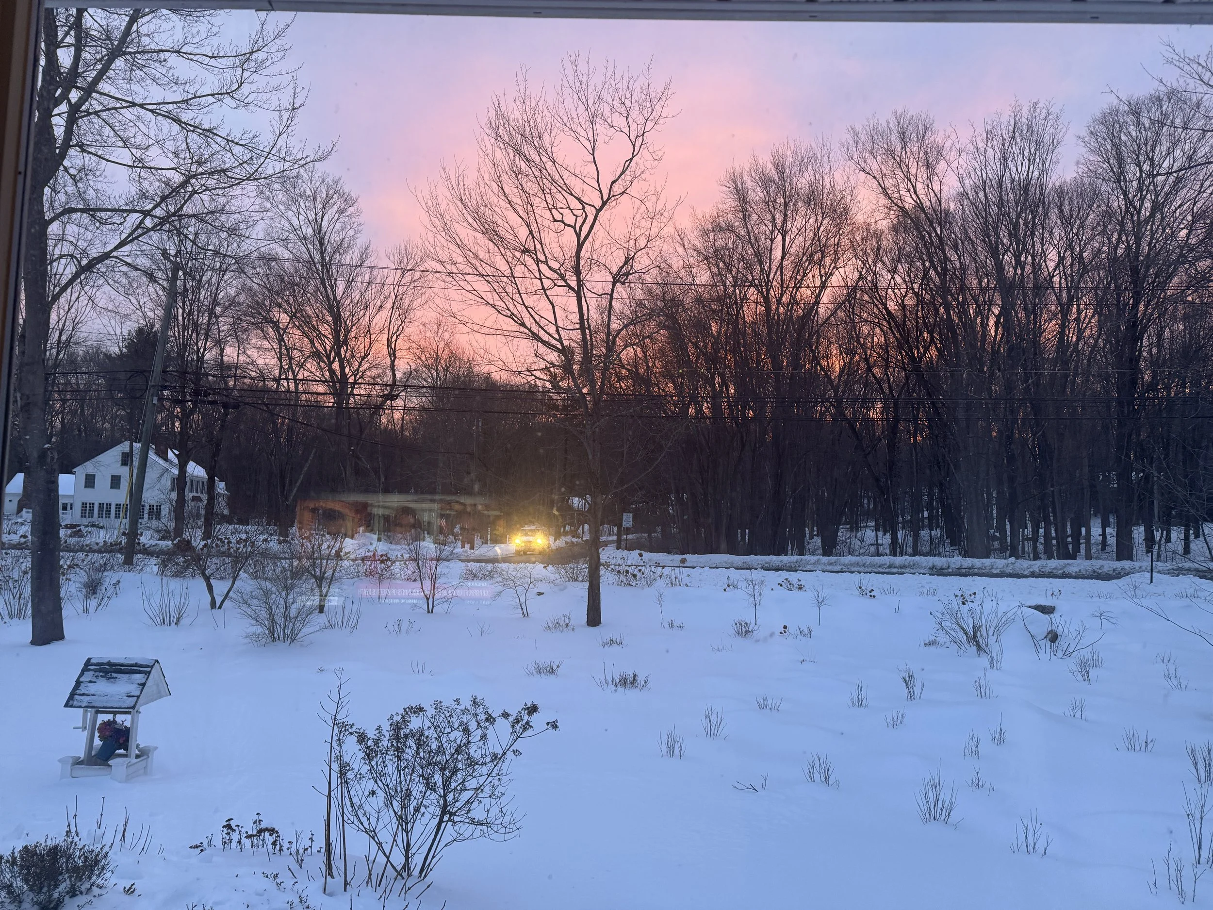 Garden Dreaming in March: Your Connecticut Garden Planning Guide