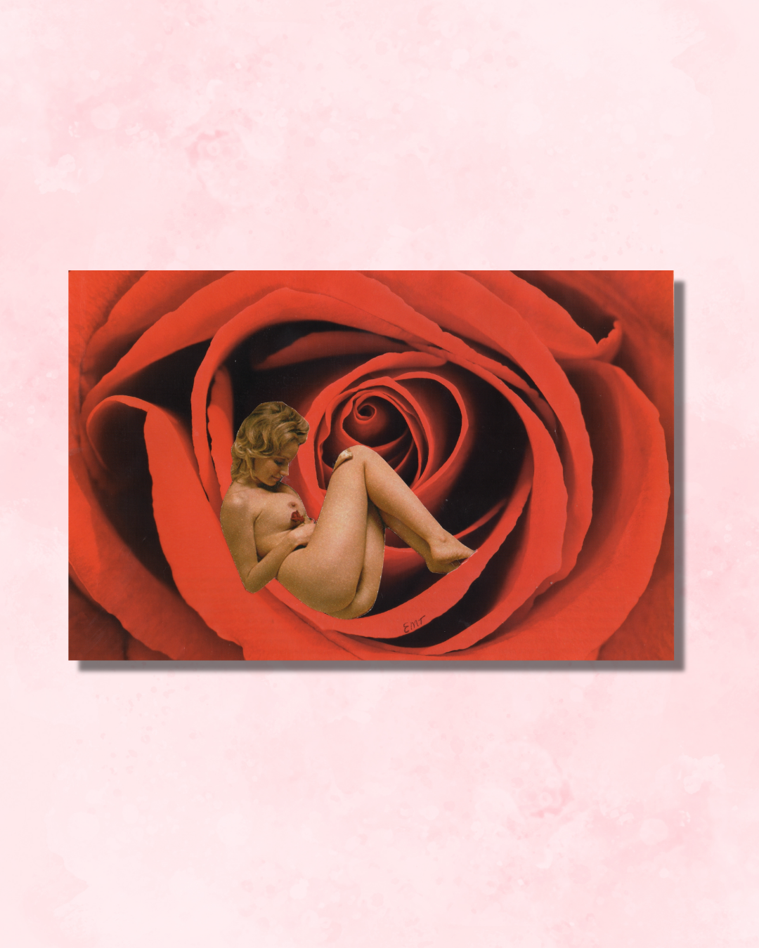 Bloom's Embrace.png