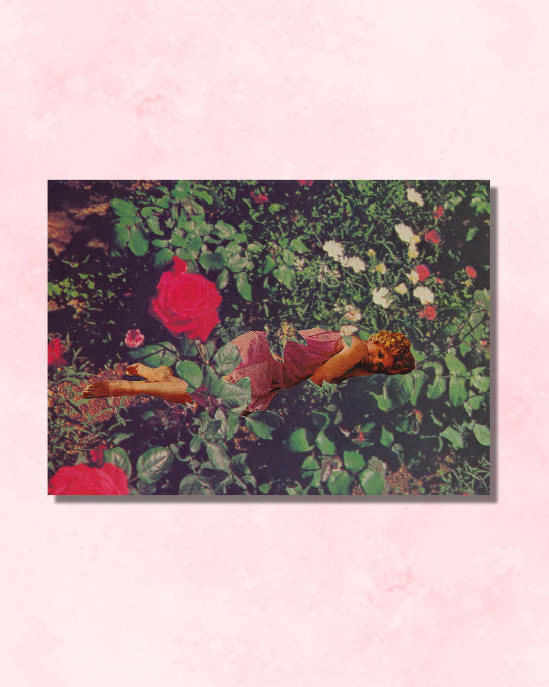 Bed of Roses.png