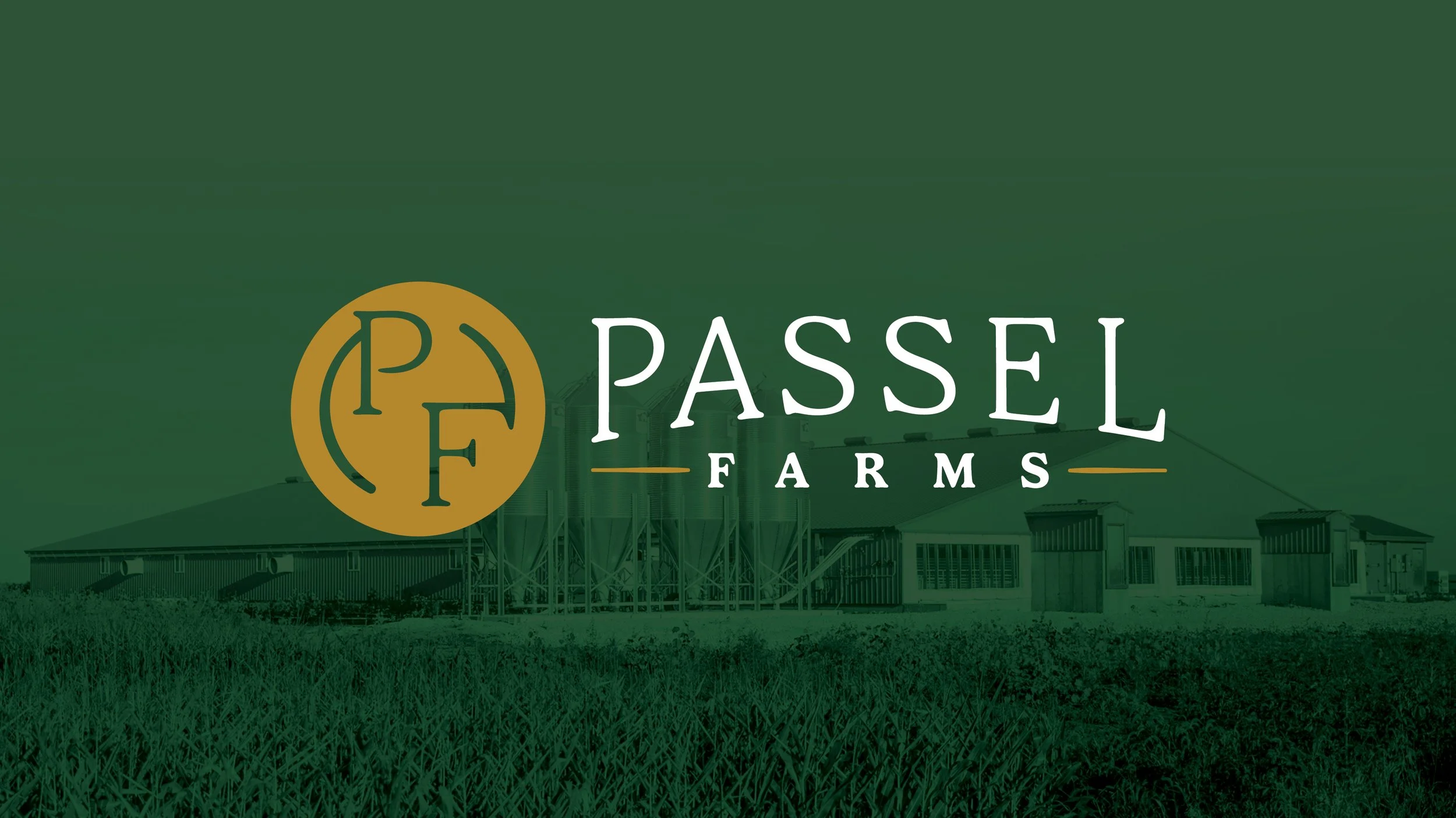 Many Roots, One Passel: Reflecting on Two Years of Growth, People, and Purpose