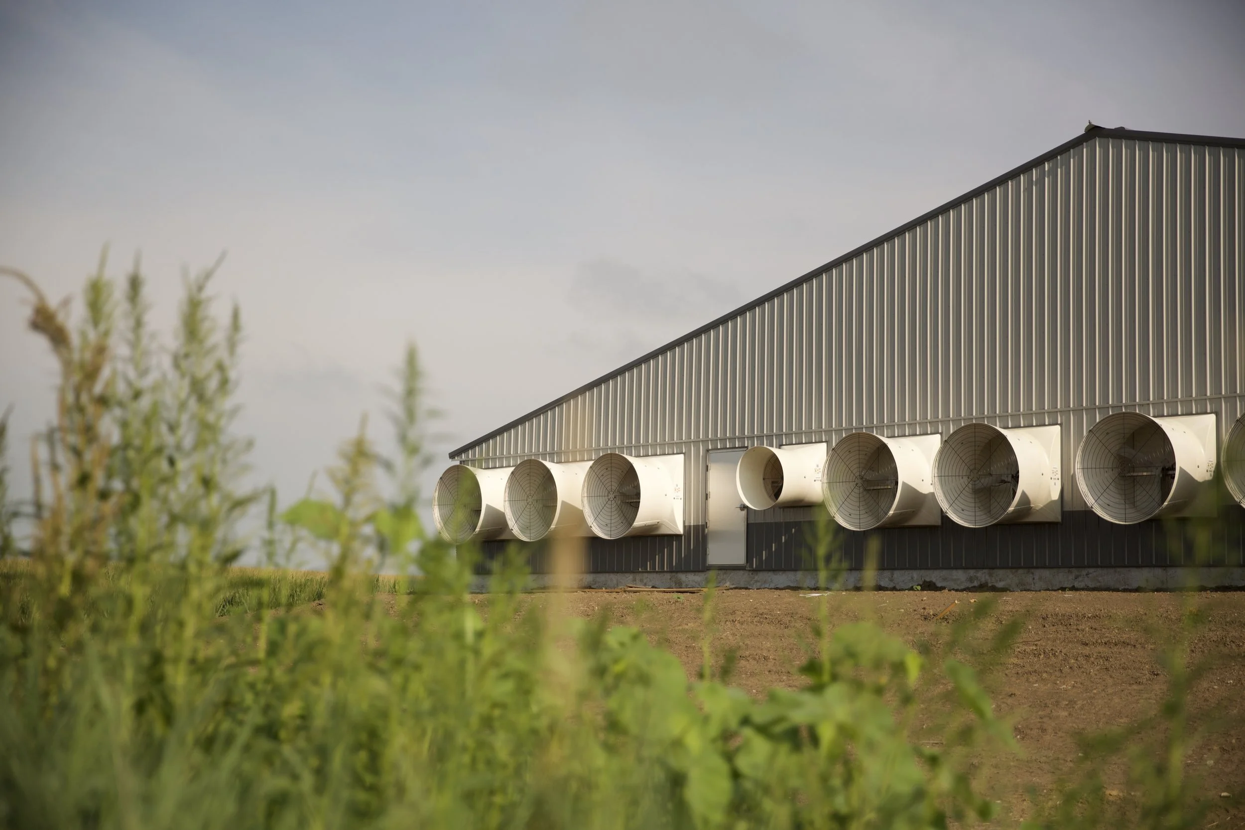 Site of a commercial building with large exhaust fans, metal siding, and a sloped roof, surrounded by green plants and a grassy area under a cloudy sky.