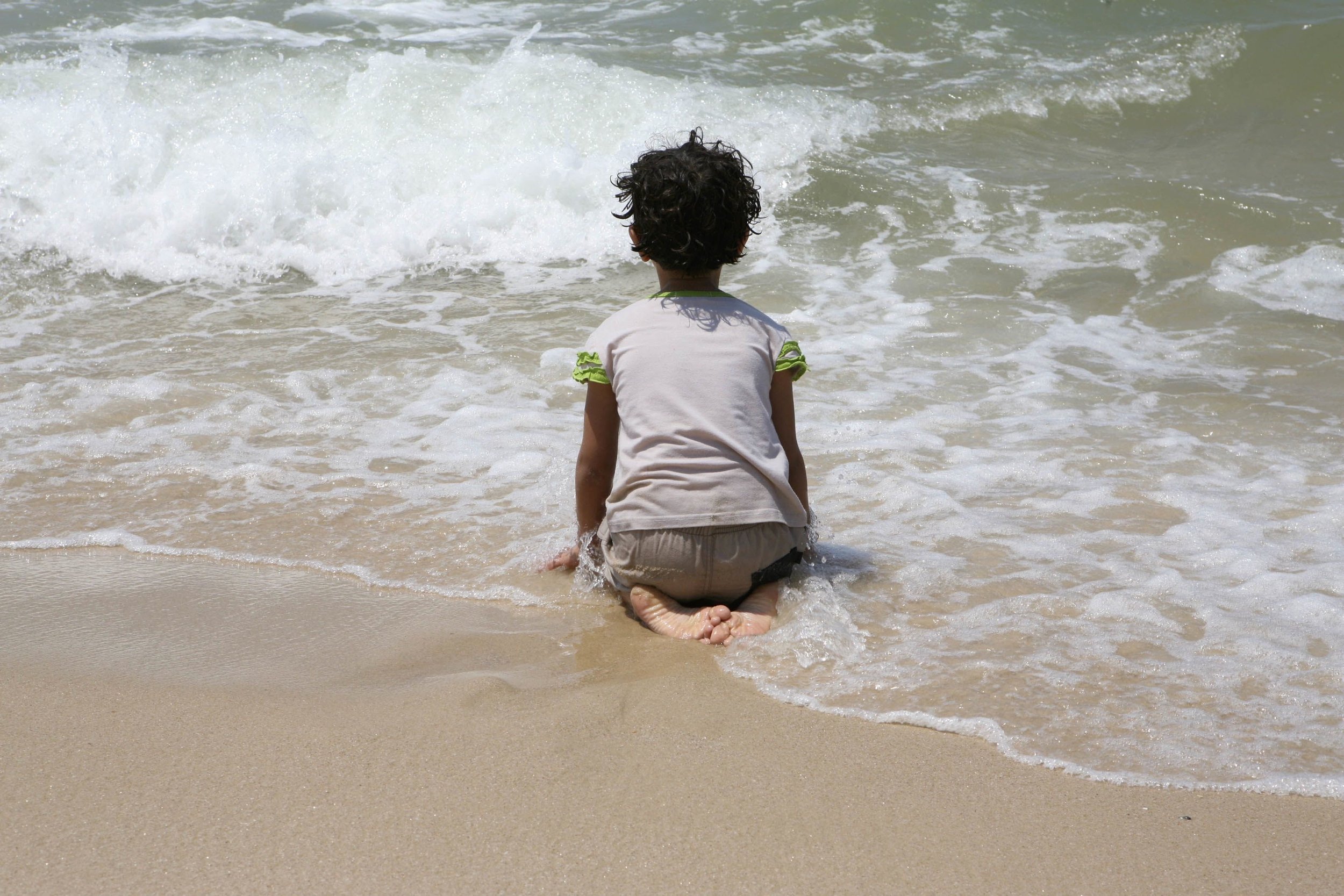 Gaza 2008