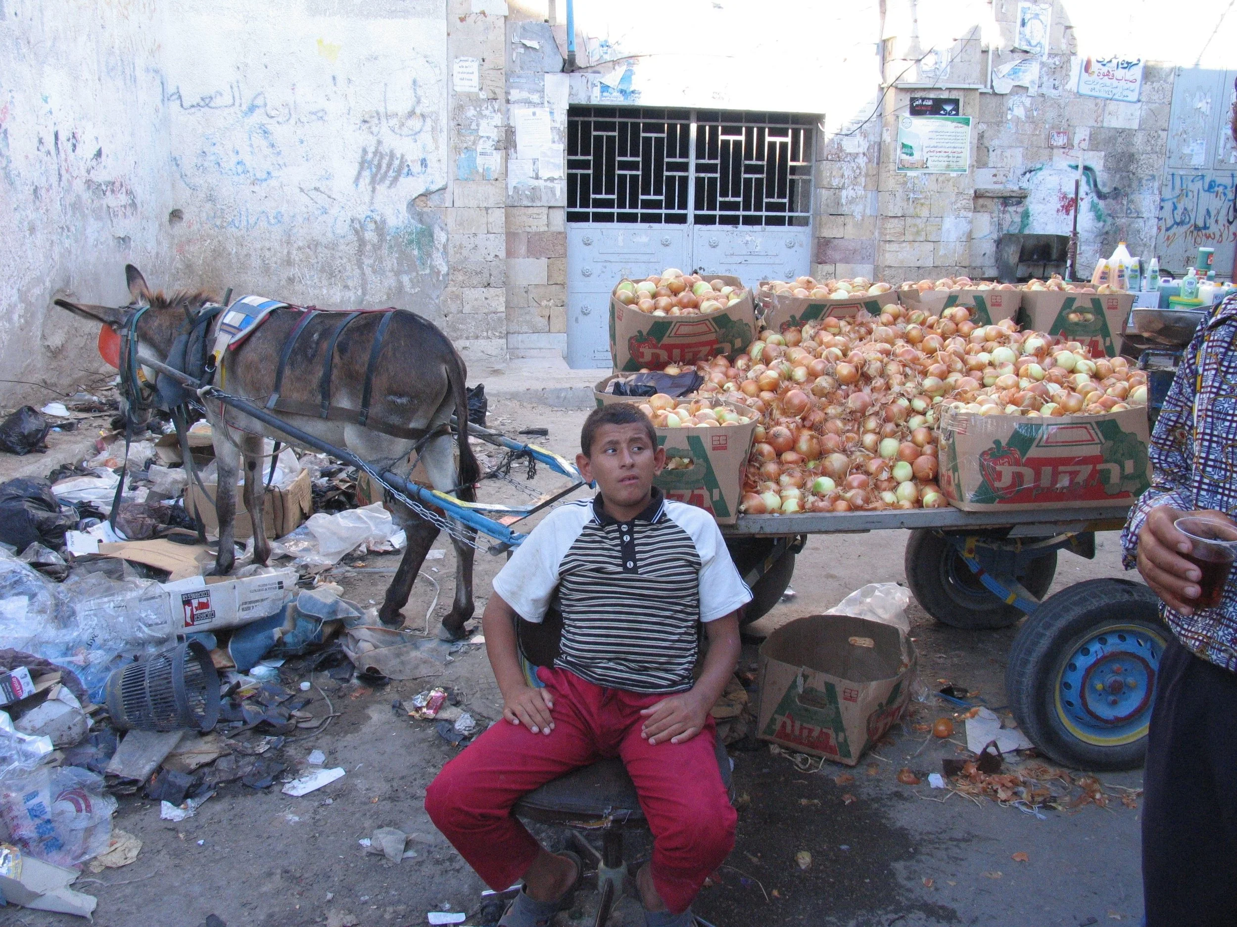 Gaza 2005