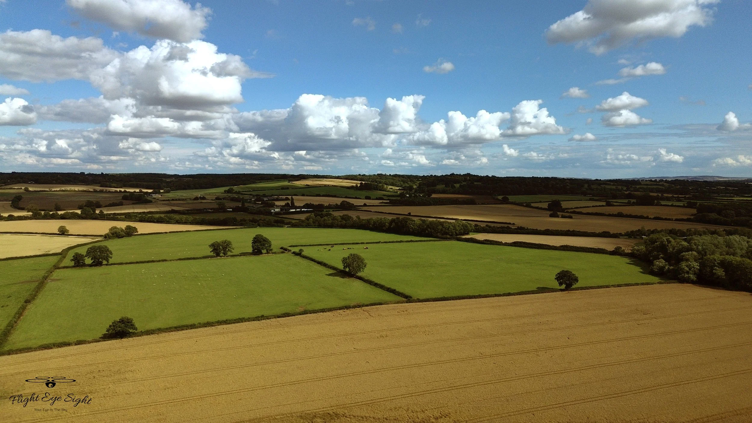 DJI_0596 1.jpg