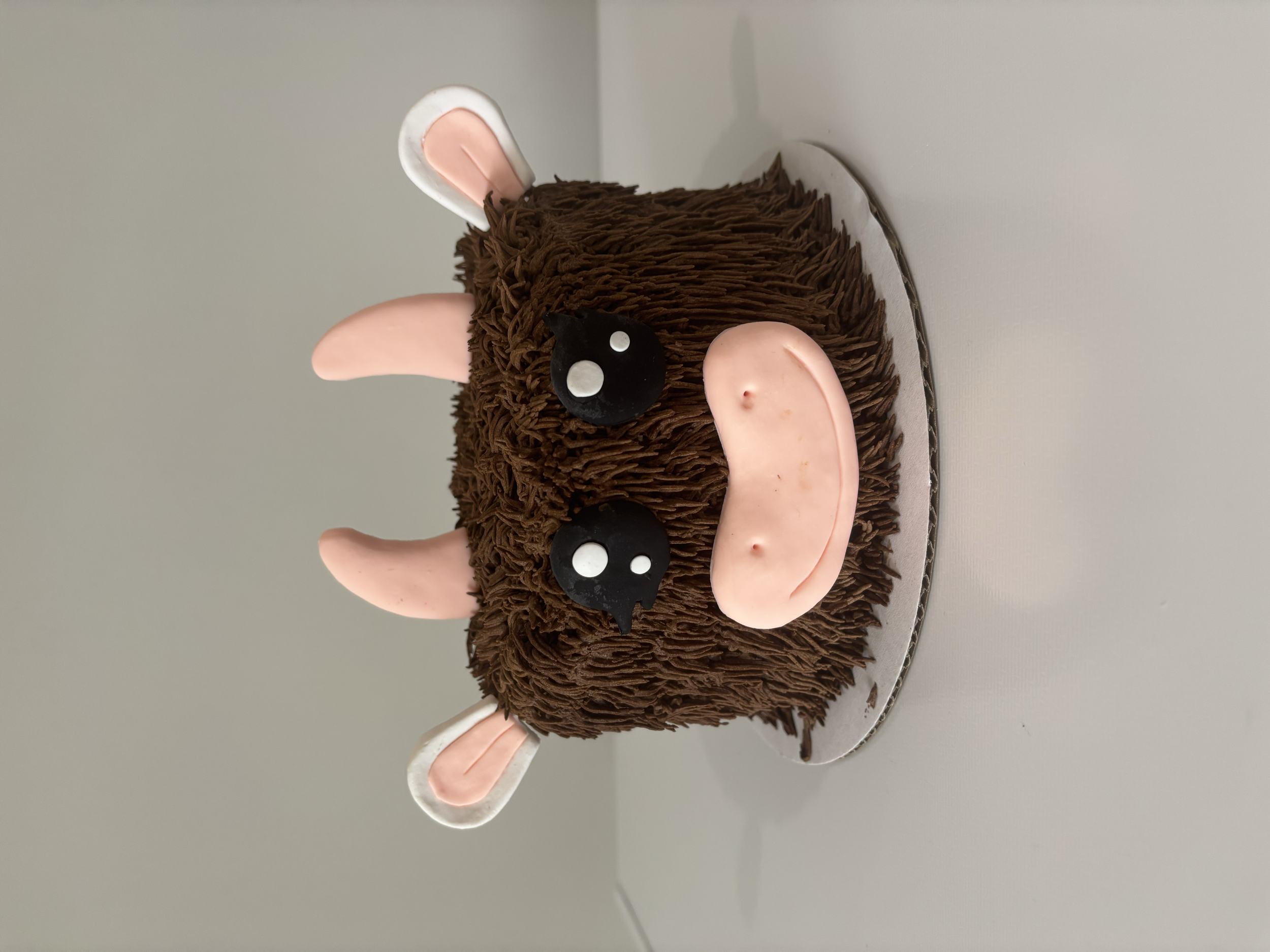 Cake decorated like a highland cow