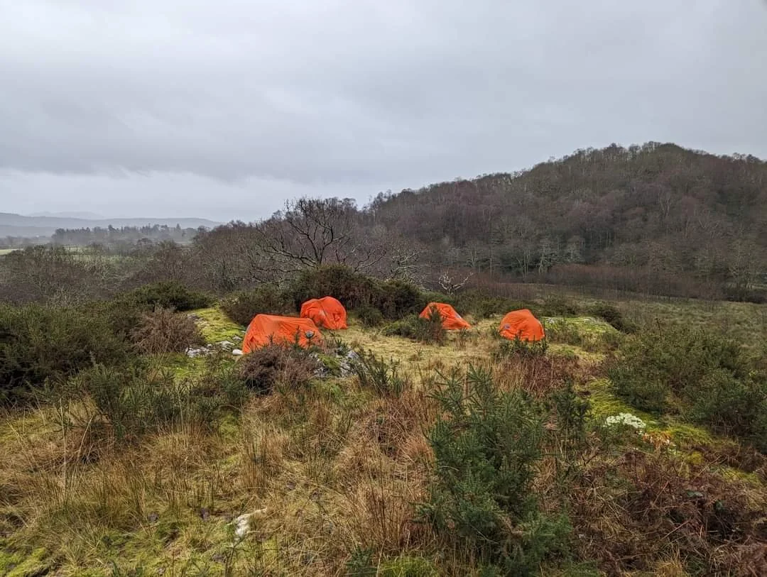 a number of orange tents dotted around a private camping spot near beddgelert north wales