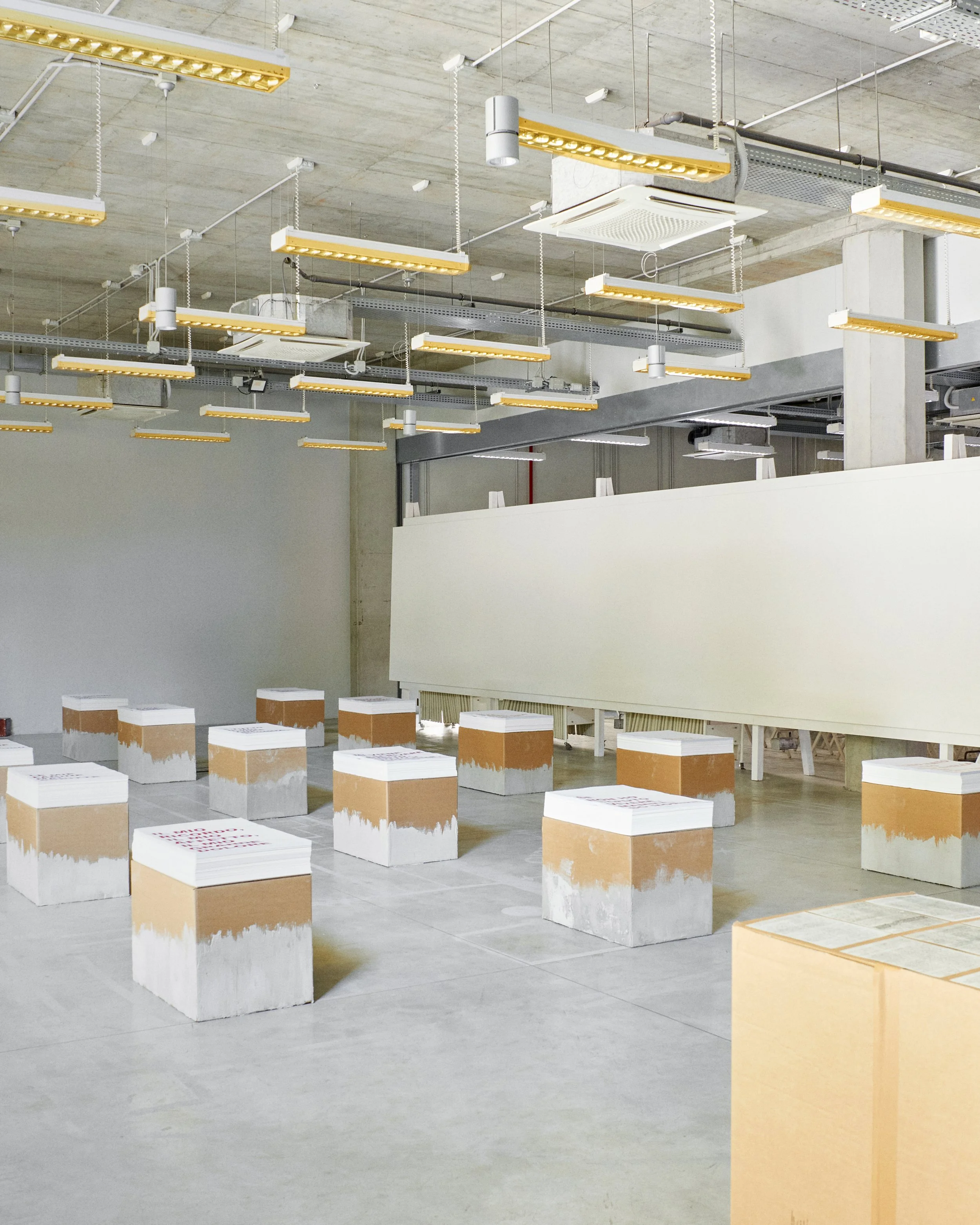 Ultimi canti - installation view