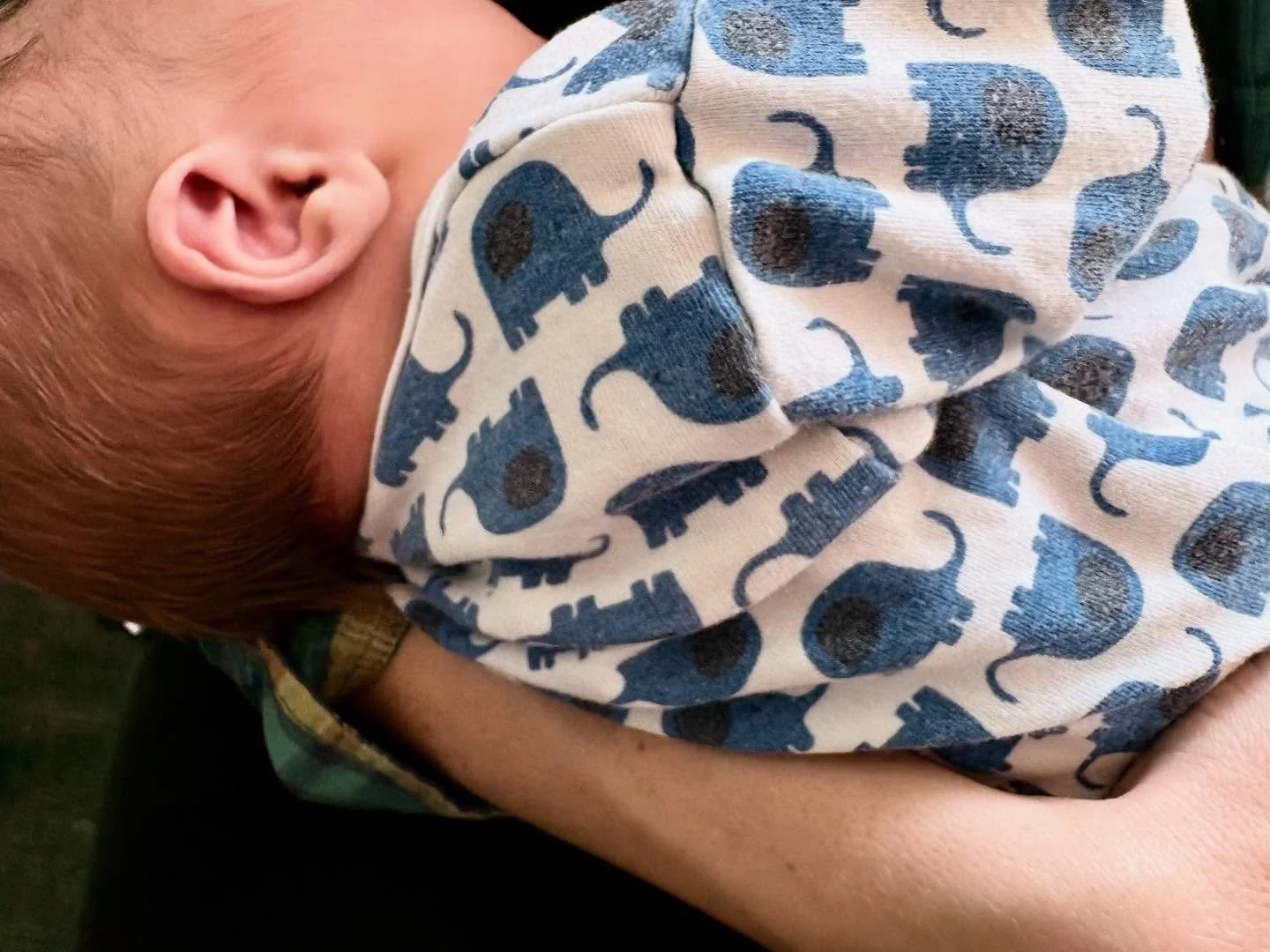 Tussen de grijze wolken door scheen even een heerlijke herfstzon. En toen kwam jij.

🌻 Ellie Olivia Vander Sande 🌻

Here comes the sun. 
And I say, &ldquo;It&rsquo;s alright&rdquo;

Foto door je grootste broer