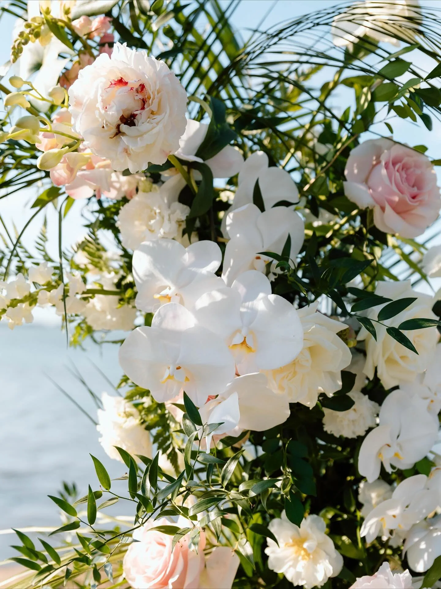A moment for this floral arch✨🤩🌸
&bull;
&bull;
&bull;
&bull;
Venue- Boca Ciega Vista Estate
Florals- @benevaflowers
Photo- @madelinepaigephotography
Hair/MU- @kleybridal
Dress- @thedressingroom_stpete
Rentals- ustentrental
Catering- @cateringbyrobe