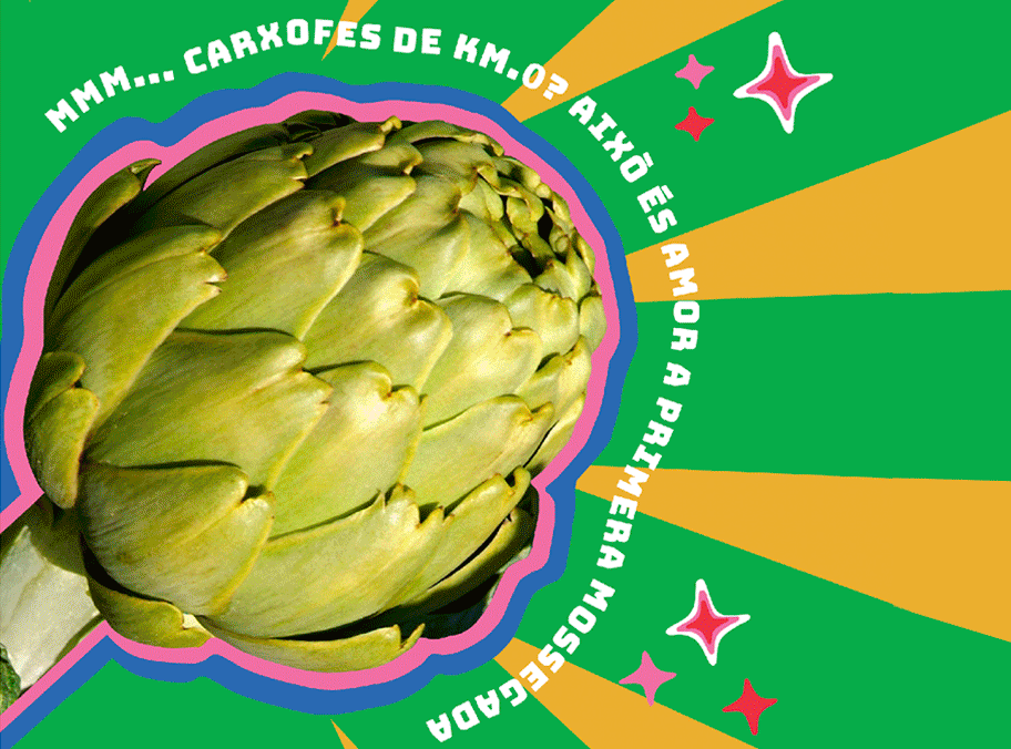 Carxofa, Pollastre Fira Prat Llobregat