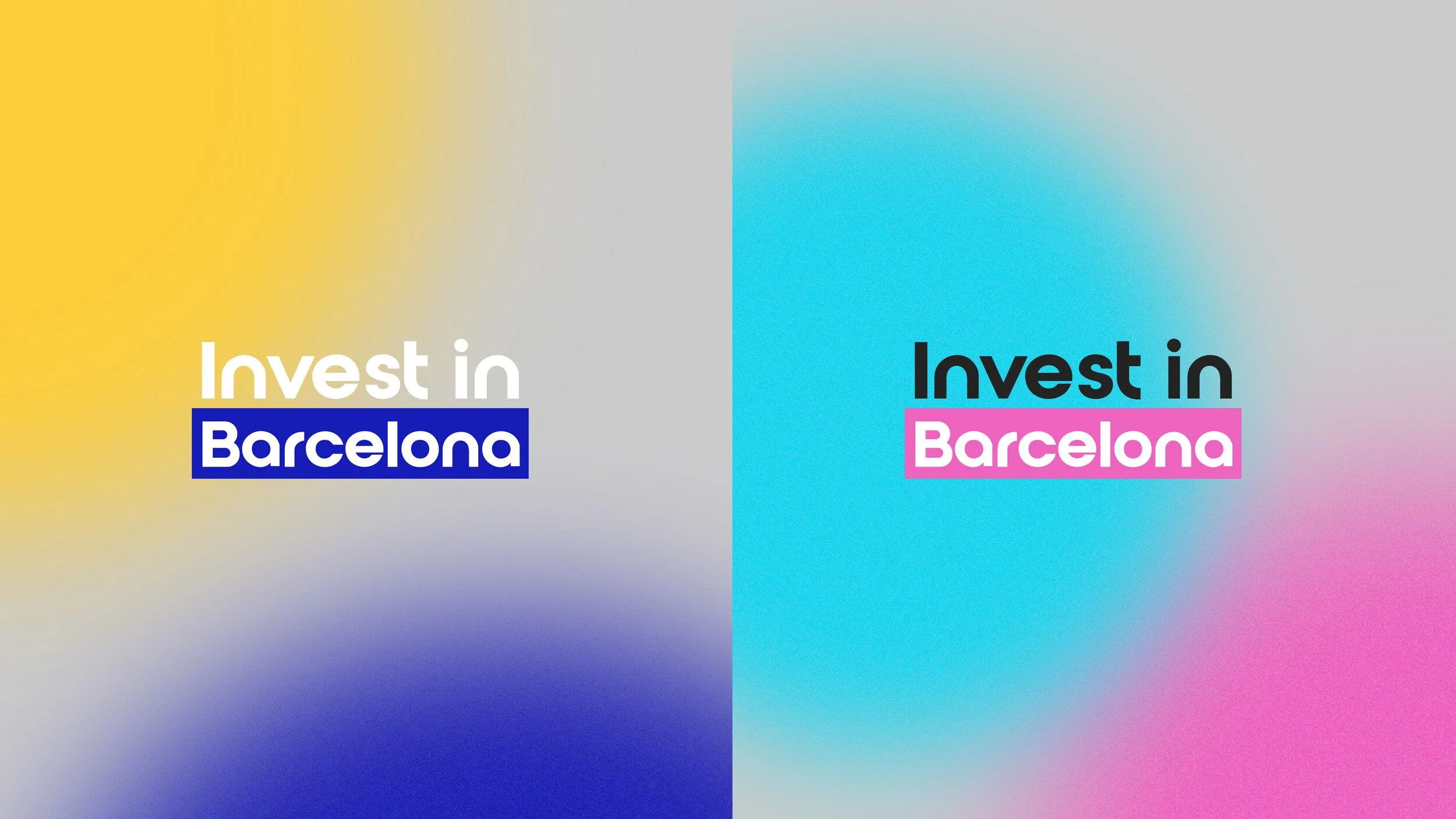 invest-08.jpg