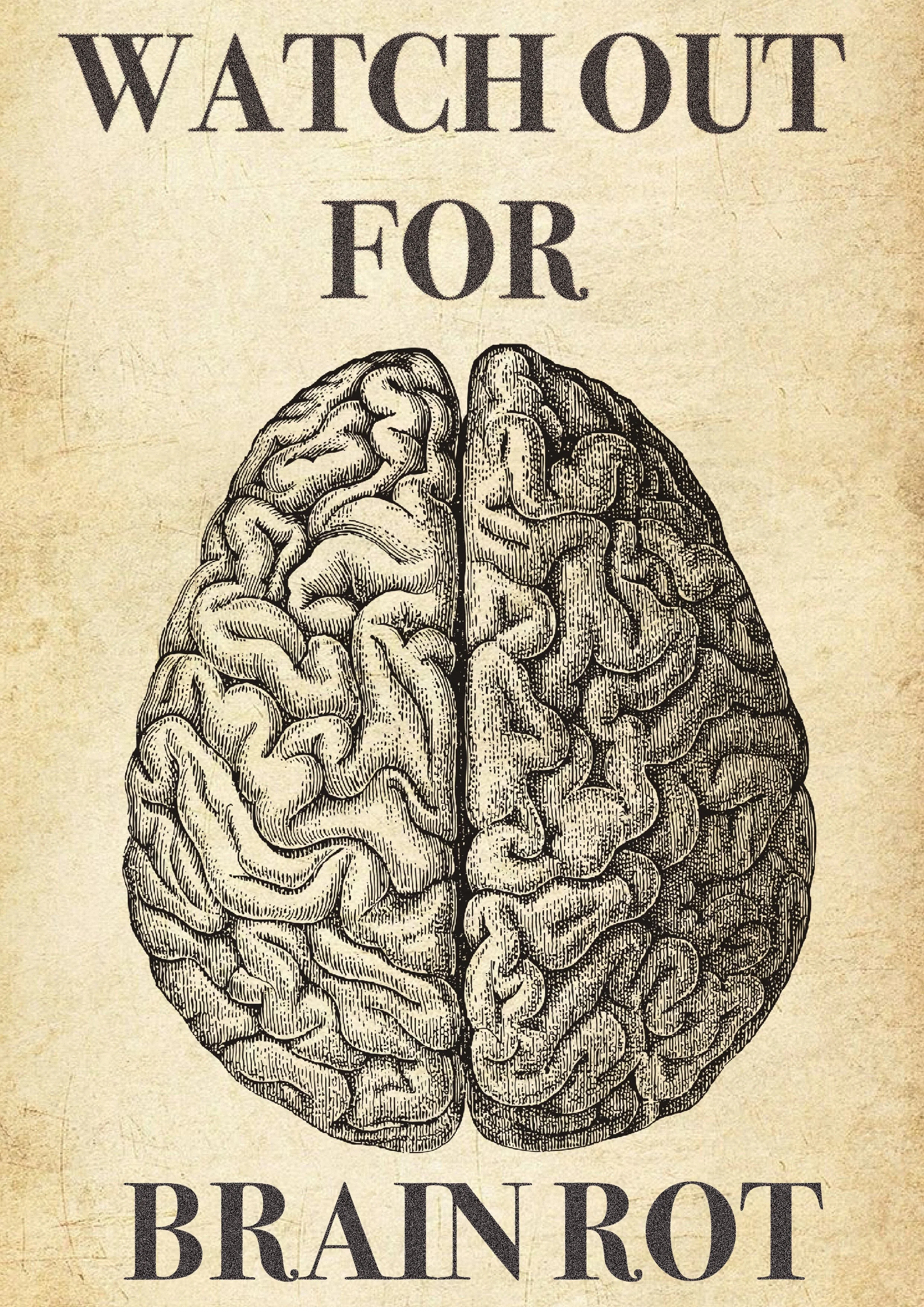 Brain Rot Propaganda Style