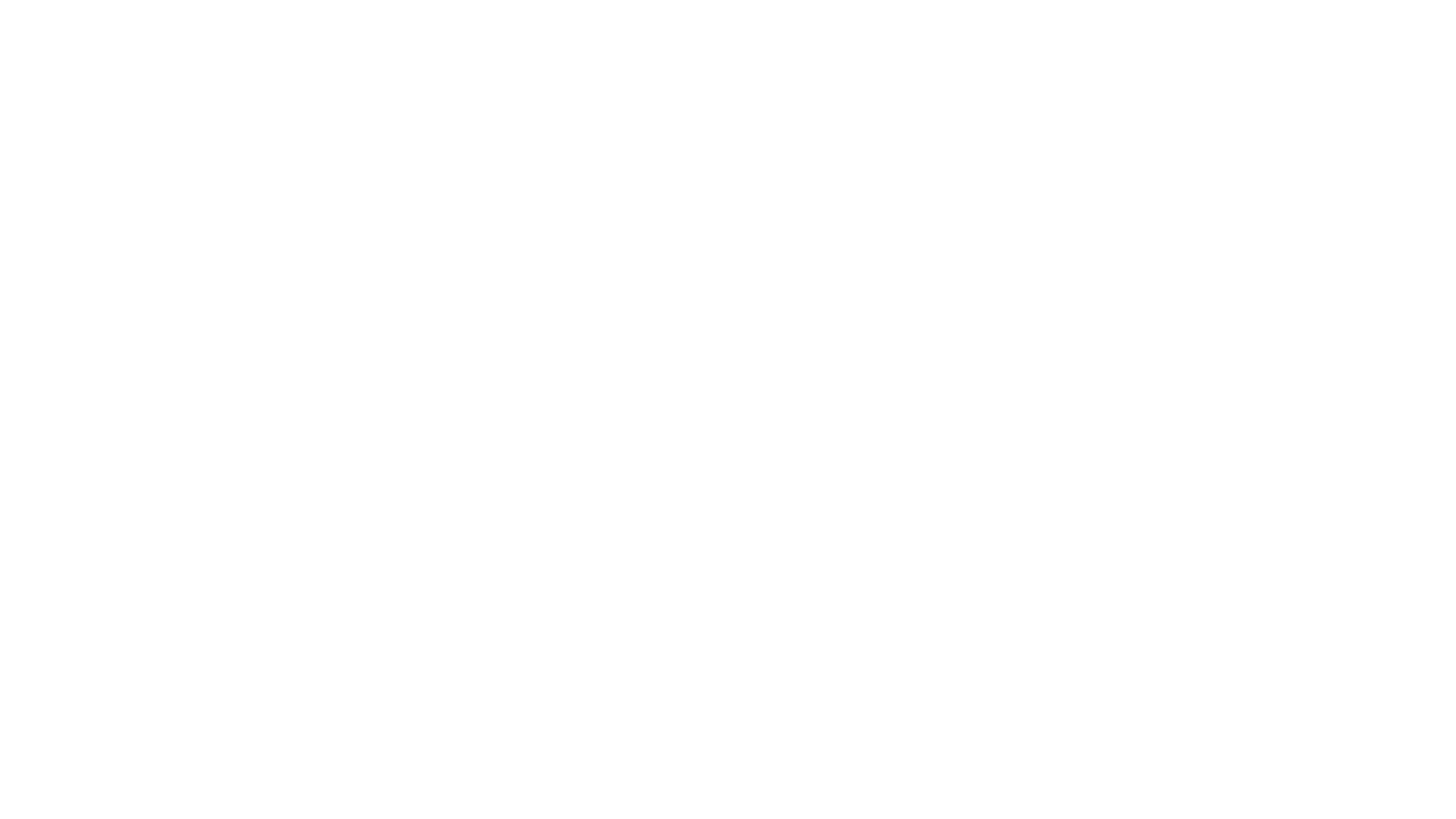 Retail-Logos_0000_ministorage.png