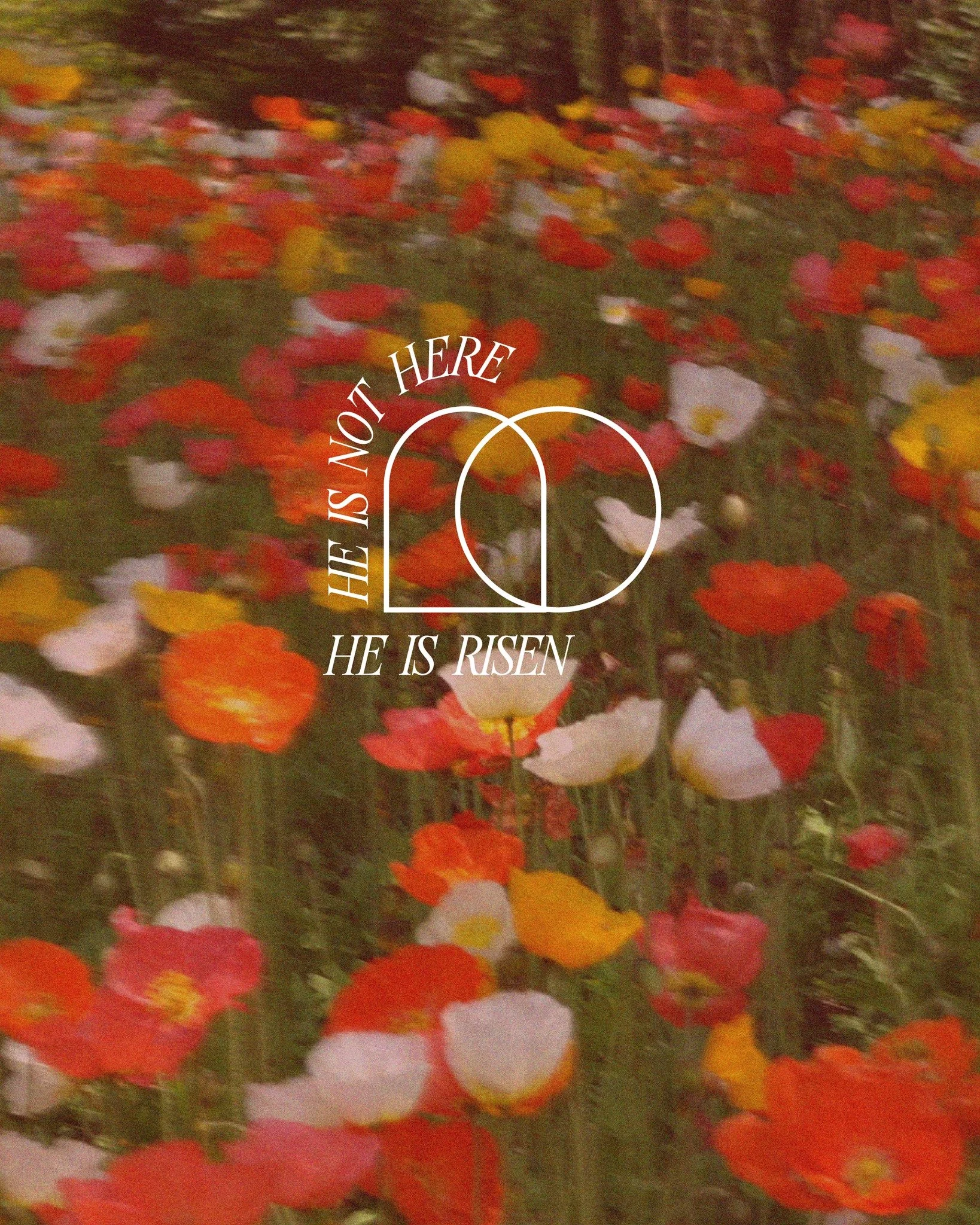 HE IS NOT HERE. 
Happy Easter, Church! He is Risen!

Join us at 8:30, 9:45, or 11am today to celebrate the Risen King!