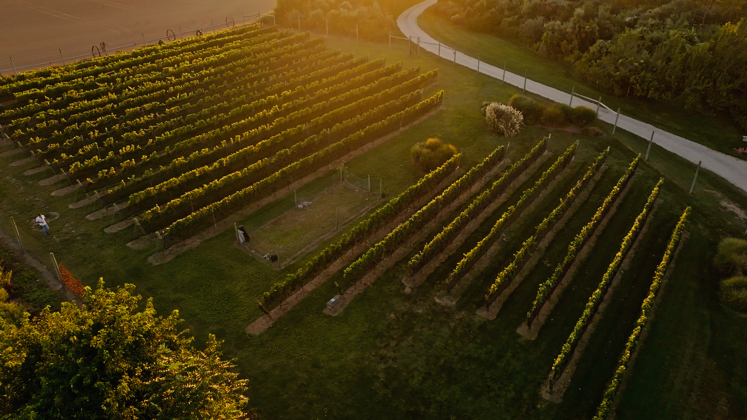 Still 2024-09-26 195520_1.91.1.png