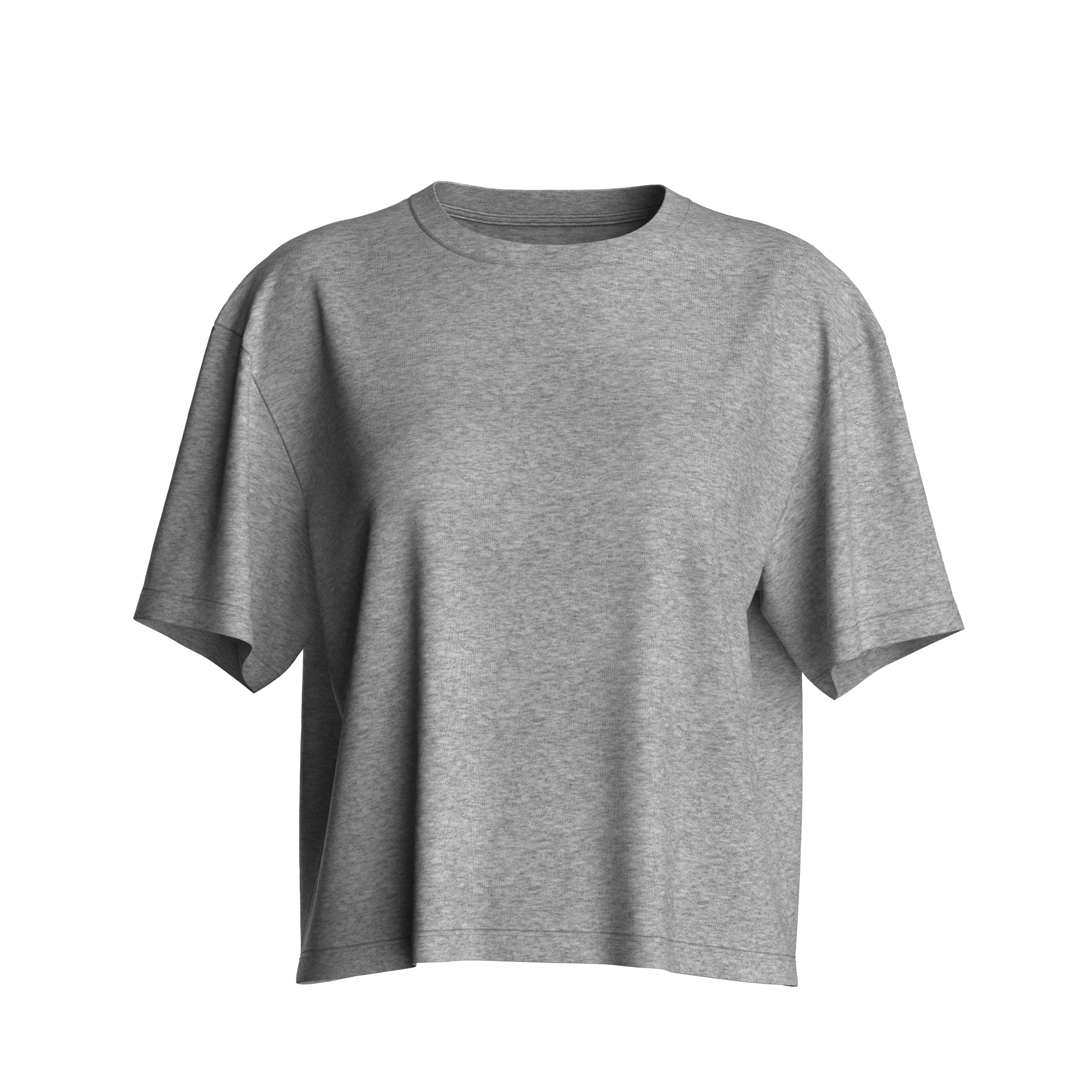 JOIE_TEE_SHIRT_OVERSIZED_S26_LT_GRAY MIX.png