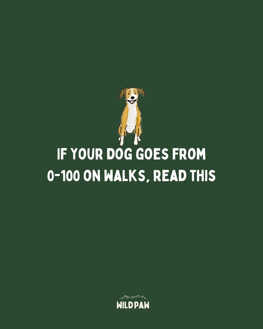 If you&rsquo;re trying all the training and struggling, read this. Behaviour is communication- even if your vet says there&rsquo;s no pain, we can&rsquo;t 100% rule that out! 

#dogbehaviour #dogwellness #dogwelfare
