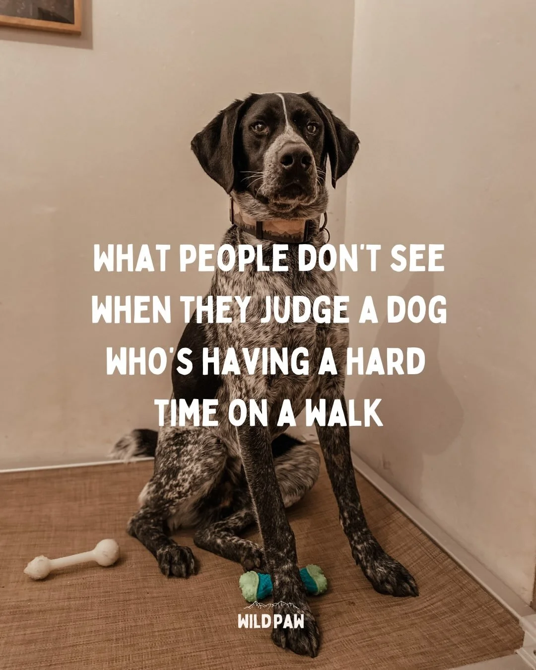 It do be hard out there at times with dogs who have big feelings. More often, not because of the dog- but because of judgement from others. 

One wrong look or snide comment can be enough to make people feel like the rug has been pulled from under th