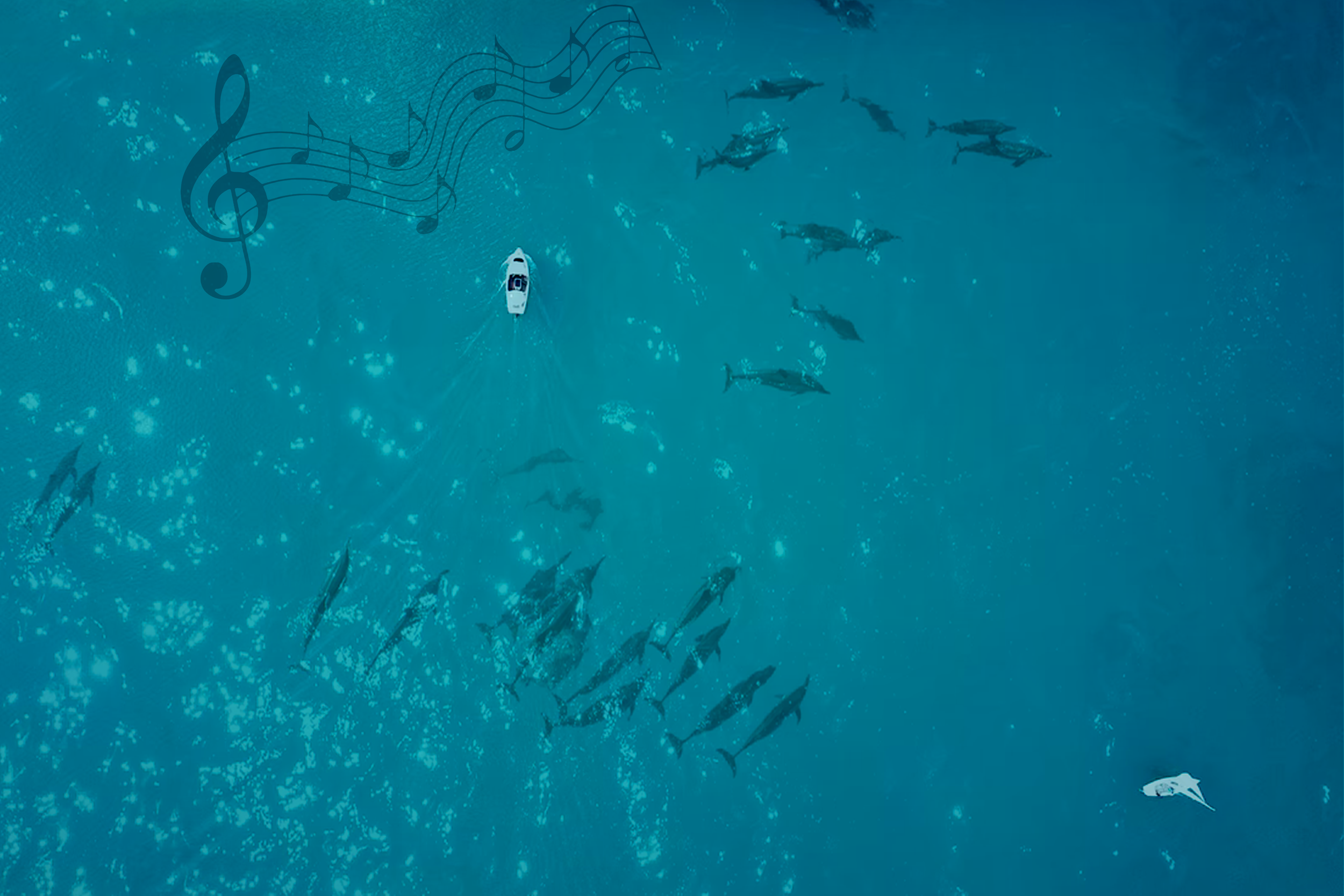 Final Narrative 2-1.png