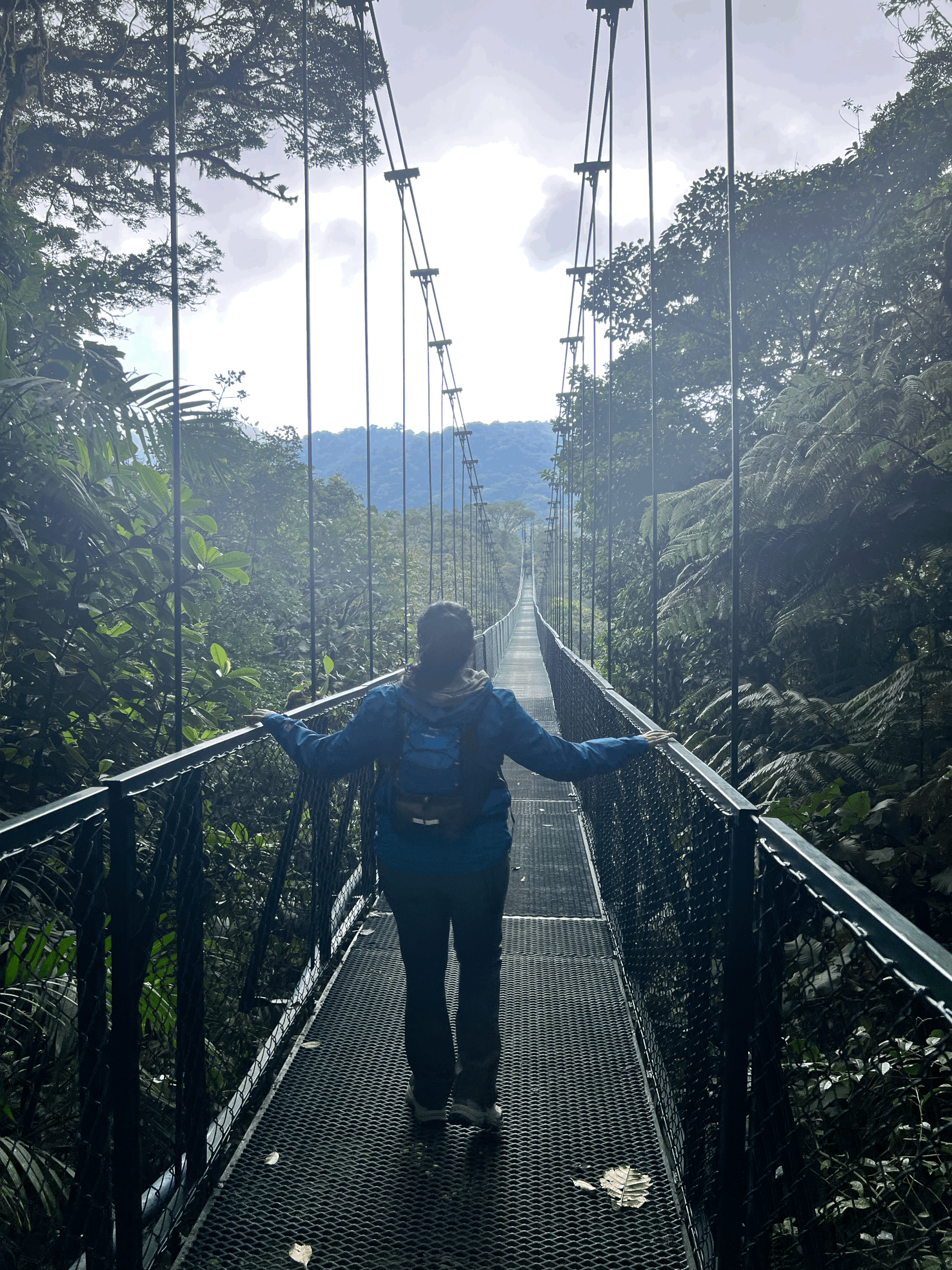 Hiking &amp; Hanging Bridges in Monteverde Cloud Forest