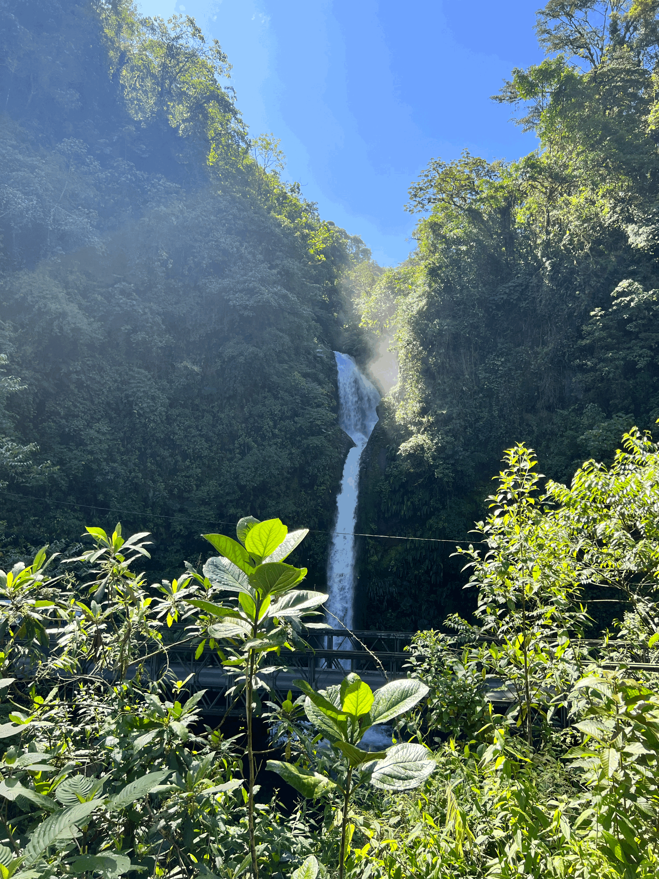 Coffee Cooperative &amp; Making Tortillas