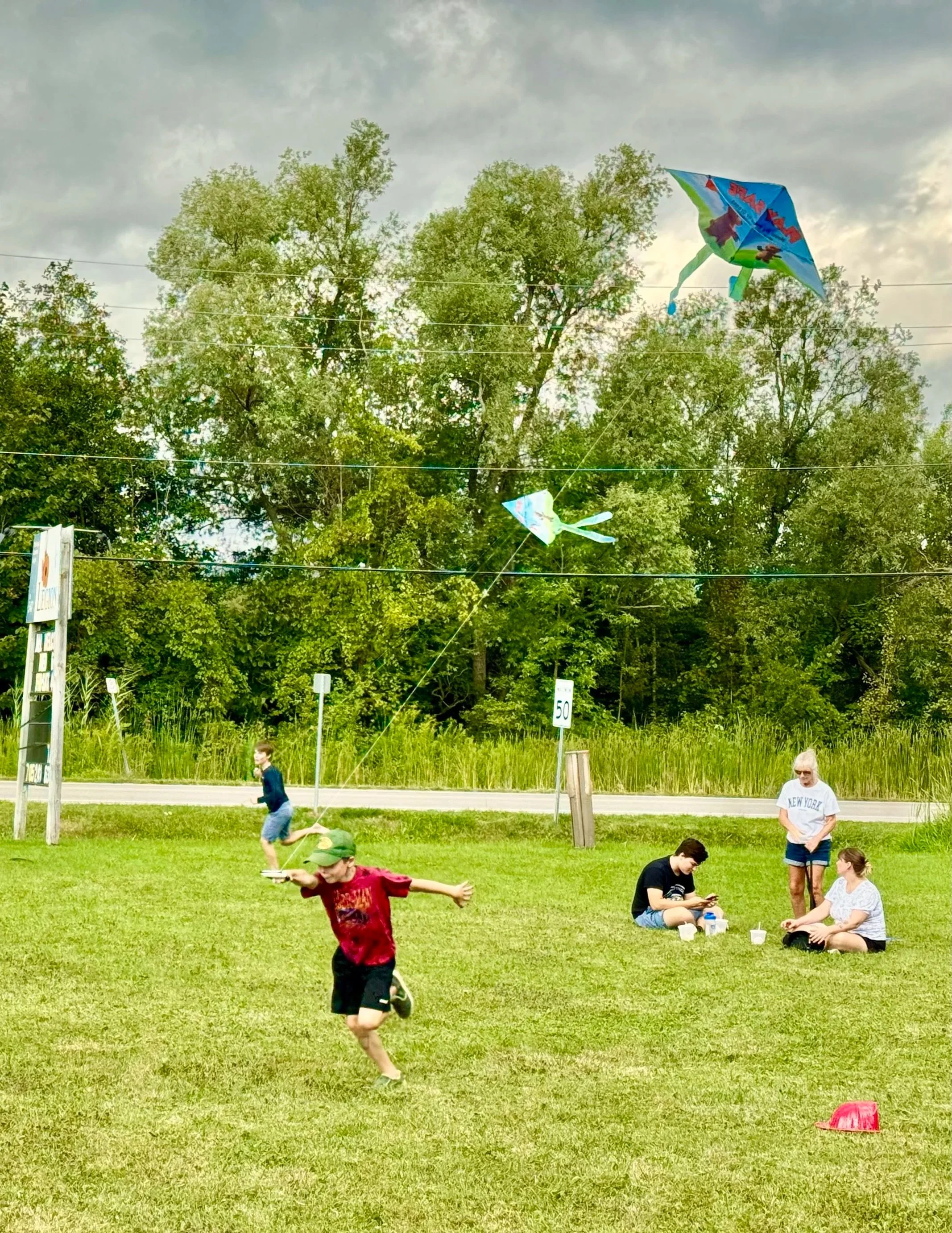 Children playing on a grassy field with kites flying in the air, trees in the background, and a cloudy sky above.