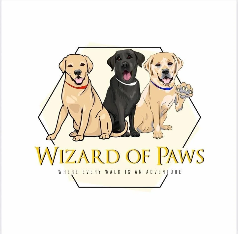 Wizard of Paws