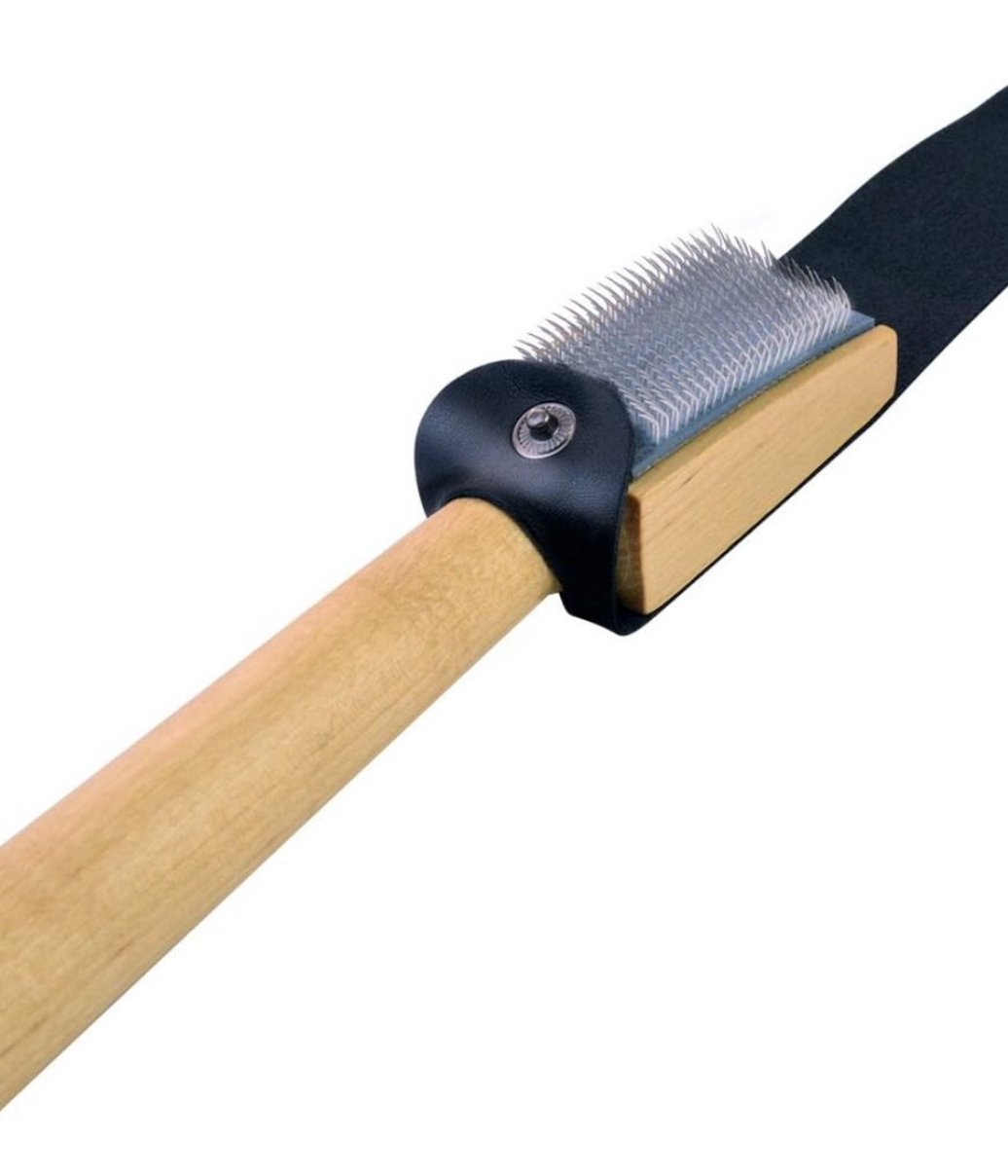 Shoe Brush