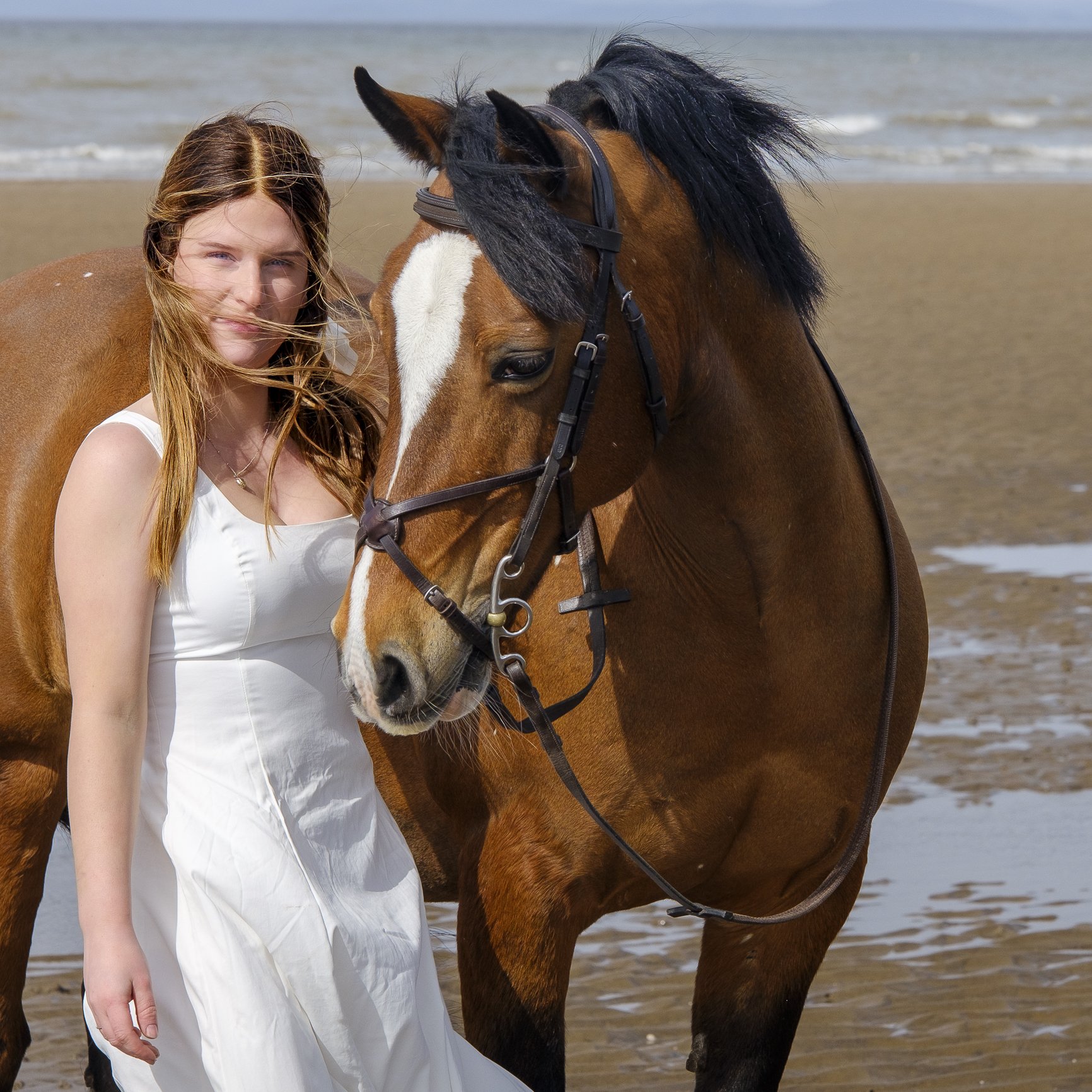 cumbria photographer, equine portraits, equine photographer
