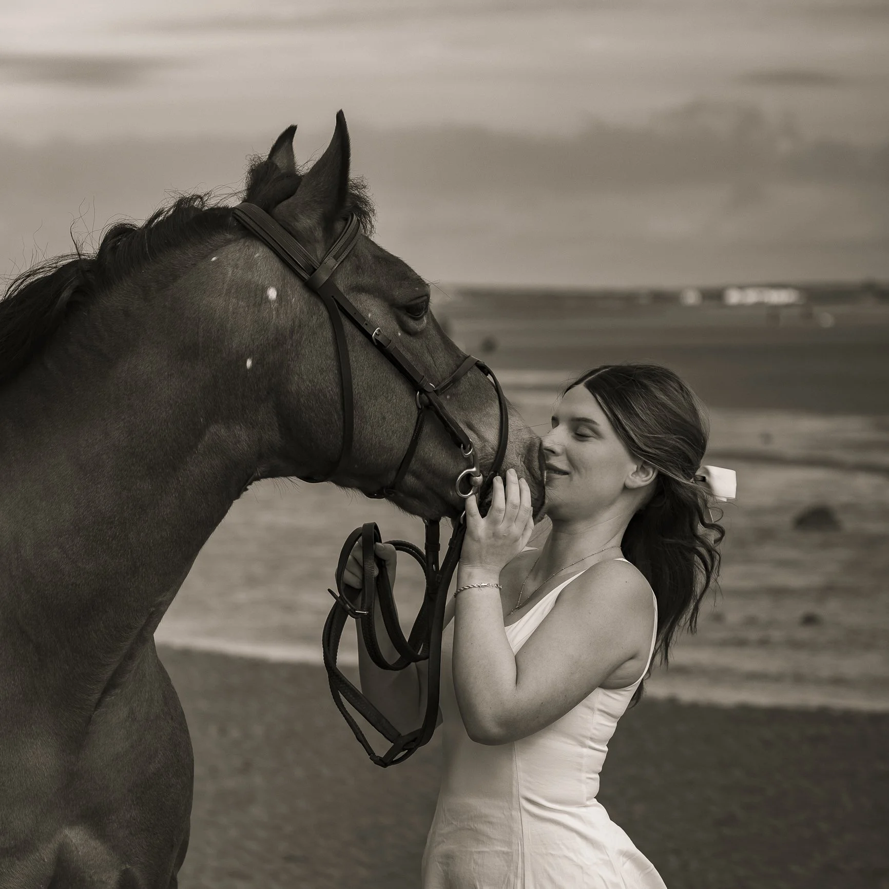 cumbria photographer, Equine portraits, equine photographer