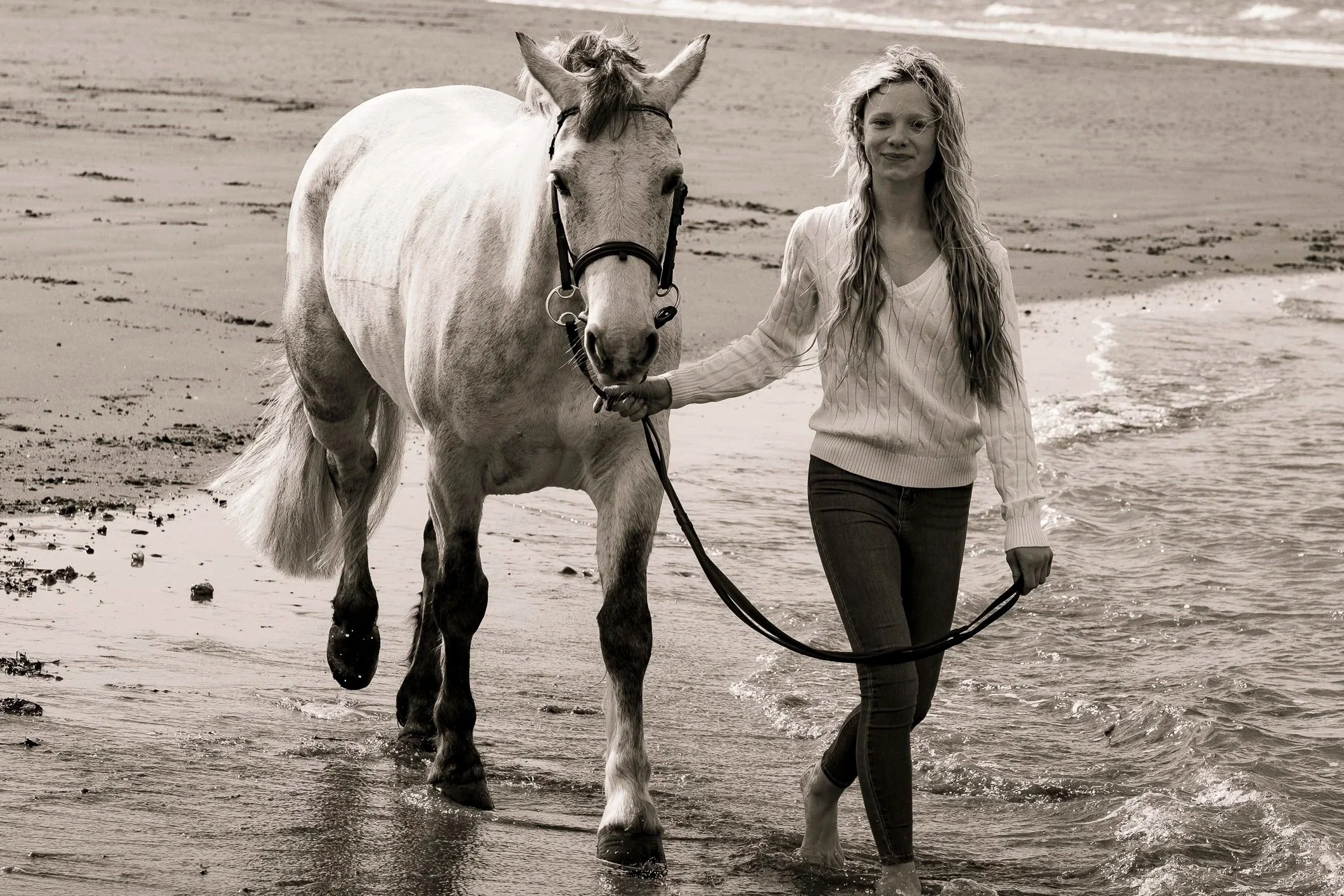 cumbria photographer,equine portraits, equine portraits